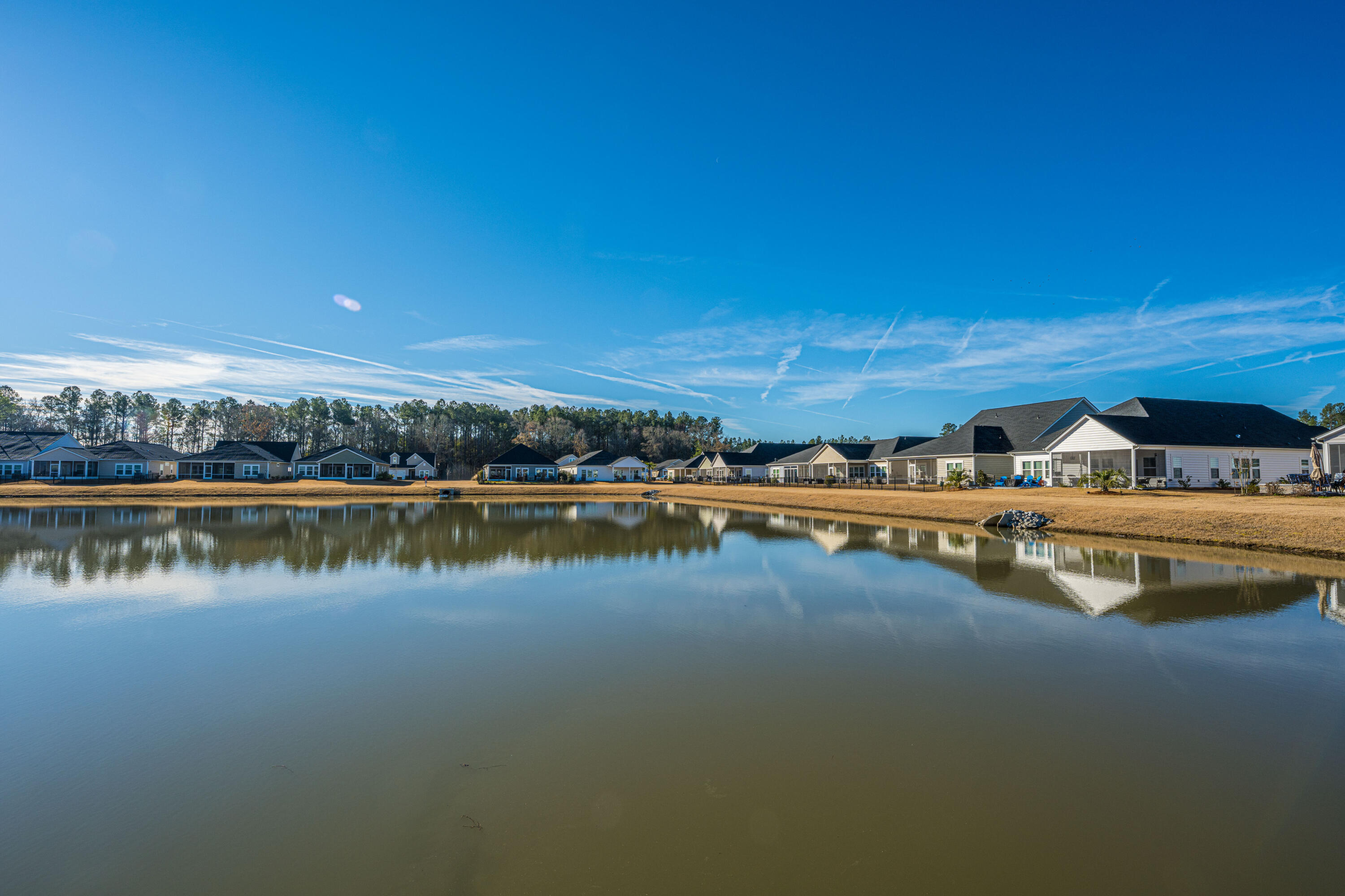 1209 Black Skimmer Street