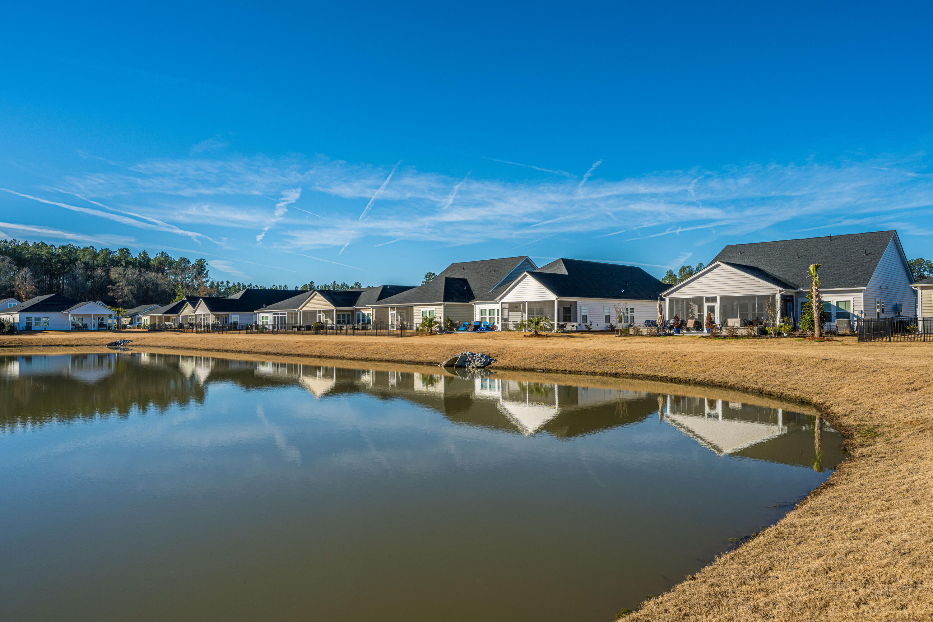 1209 Black Skimmer Street