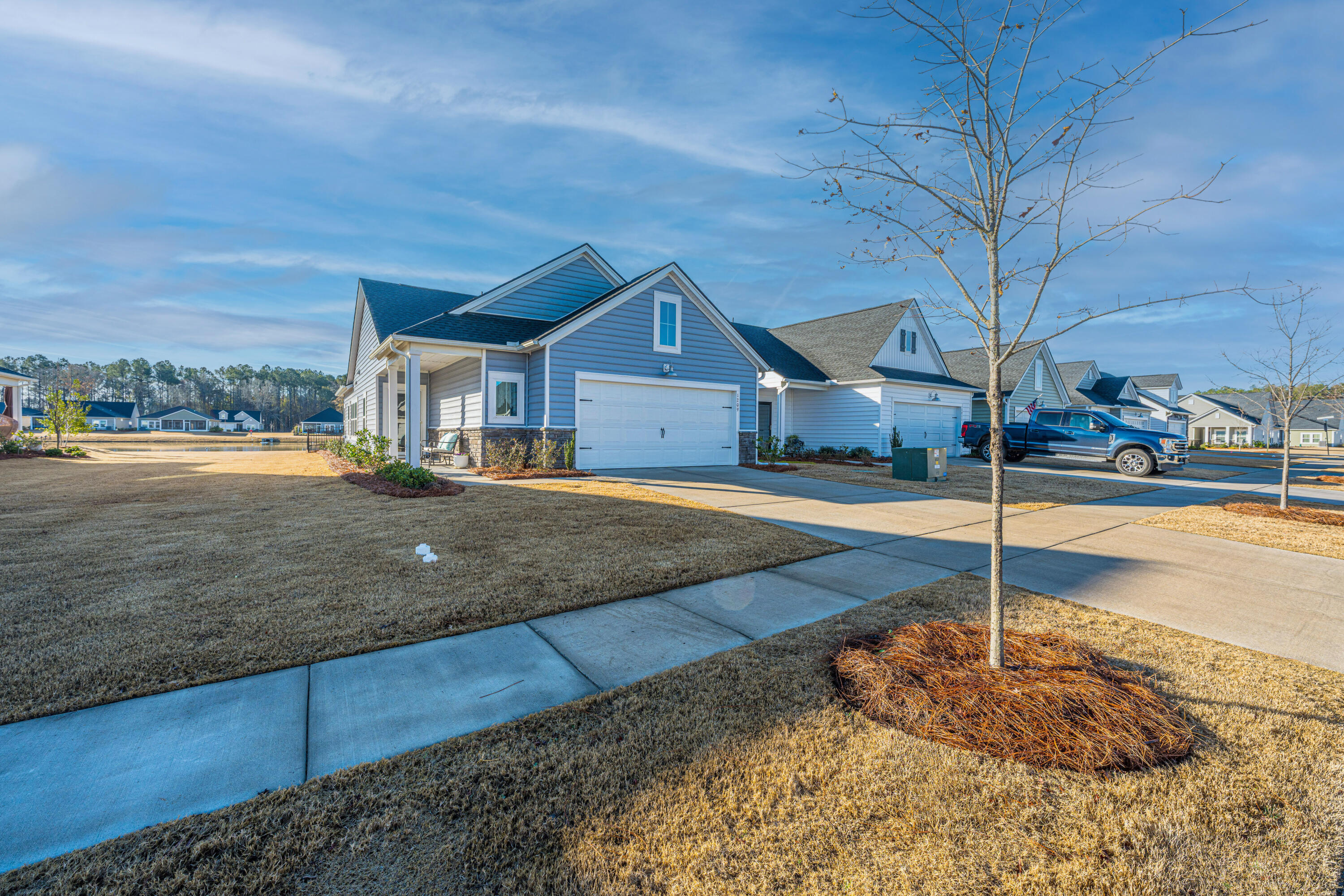 1209 Black Skimmer Street