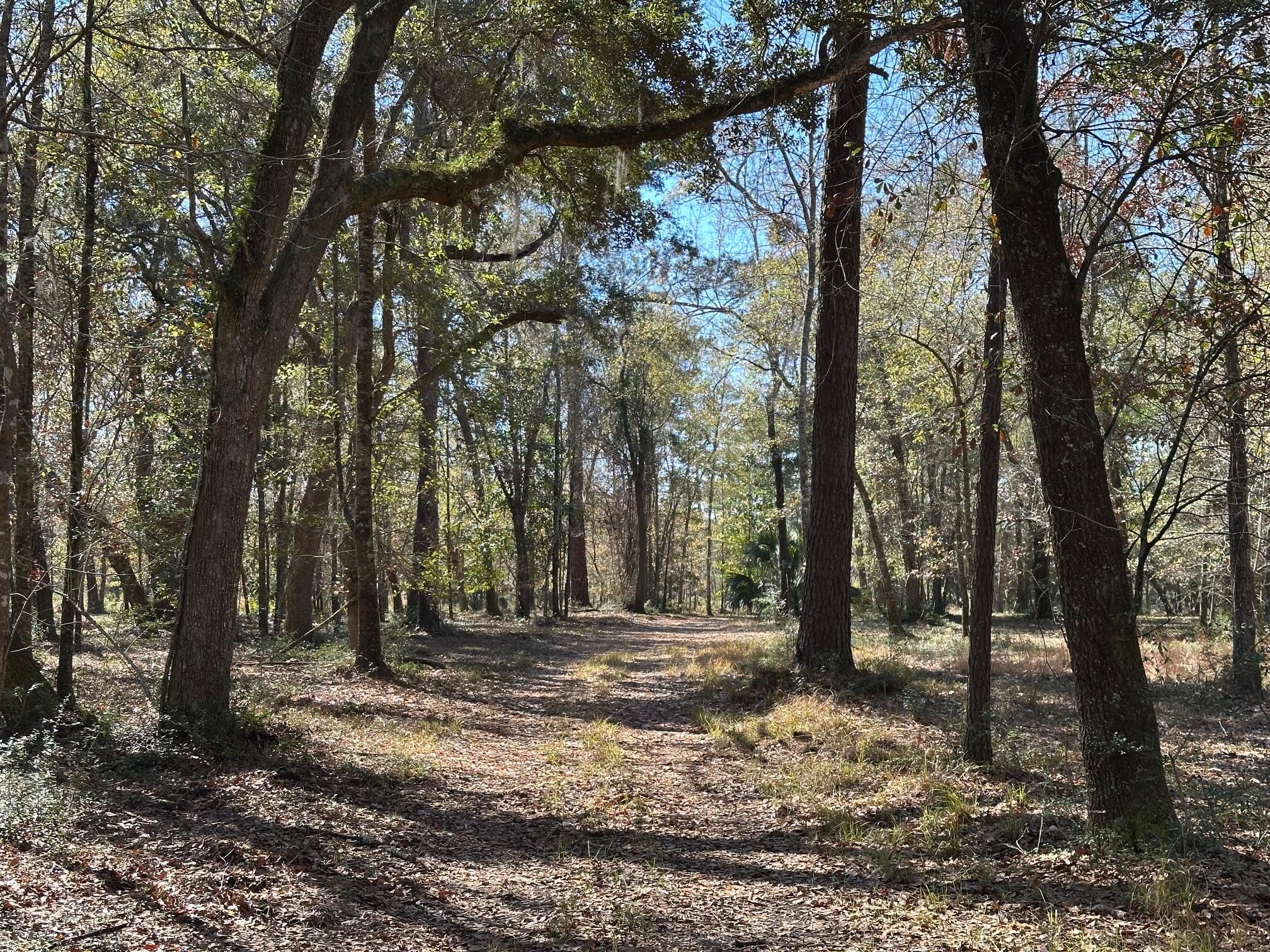 0 Allandale Plantation Road