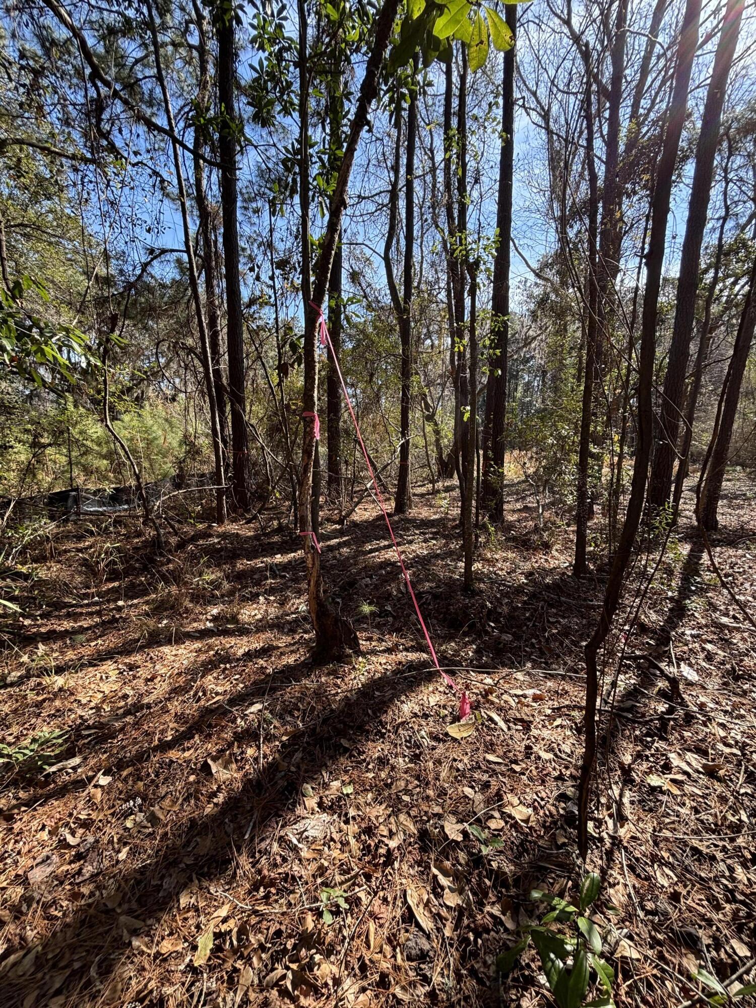 336 Drayton Street, McClellanville