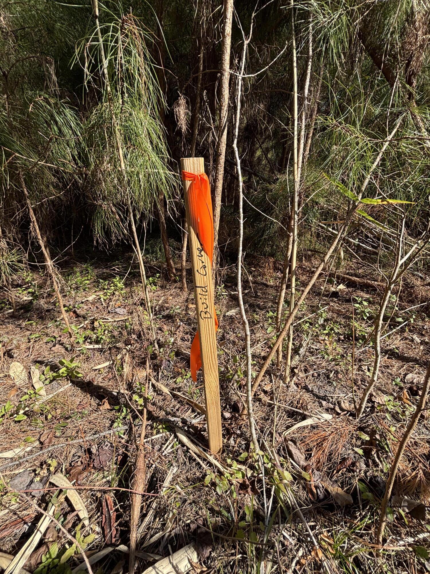 336 Drayton Street, McClellanville