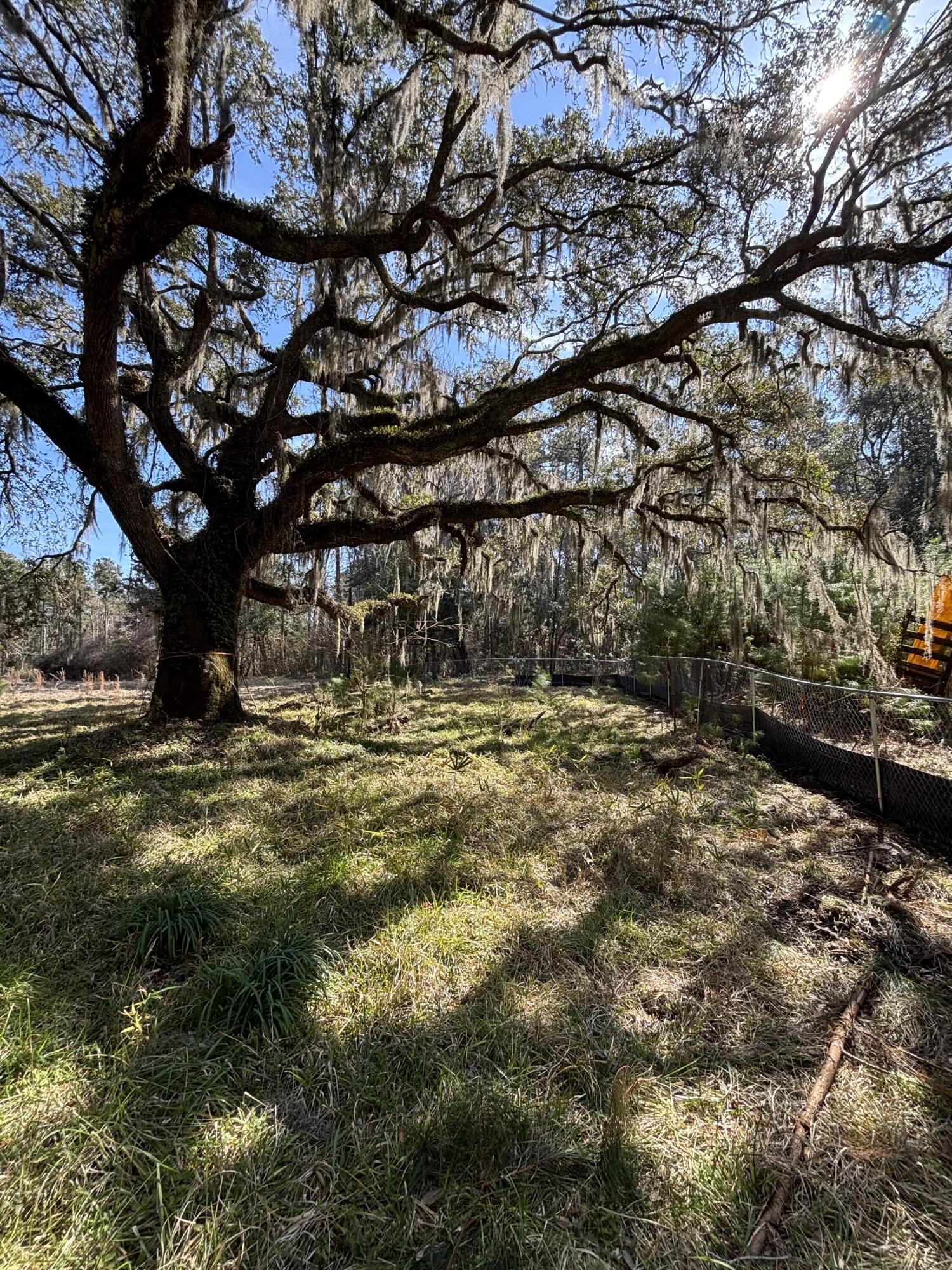 336 Drayton Street, McClellanville