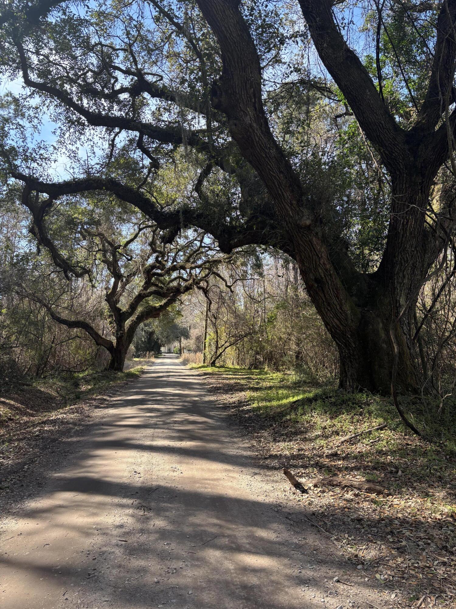 336 Drayton Street, McClellanville