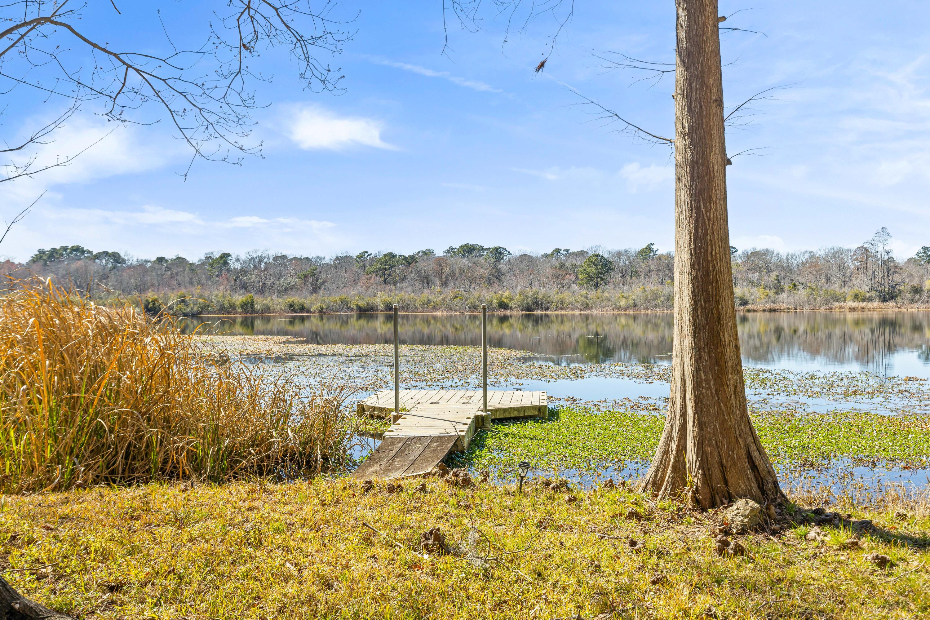 117 Goose Creek Drive