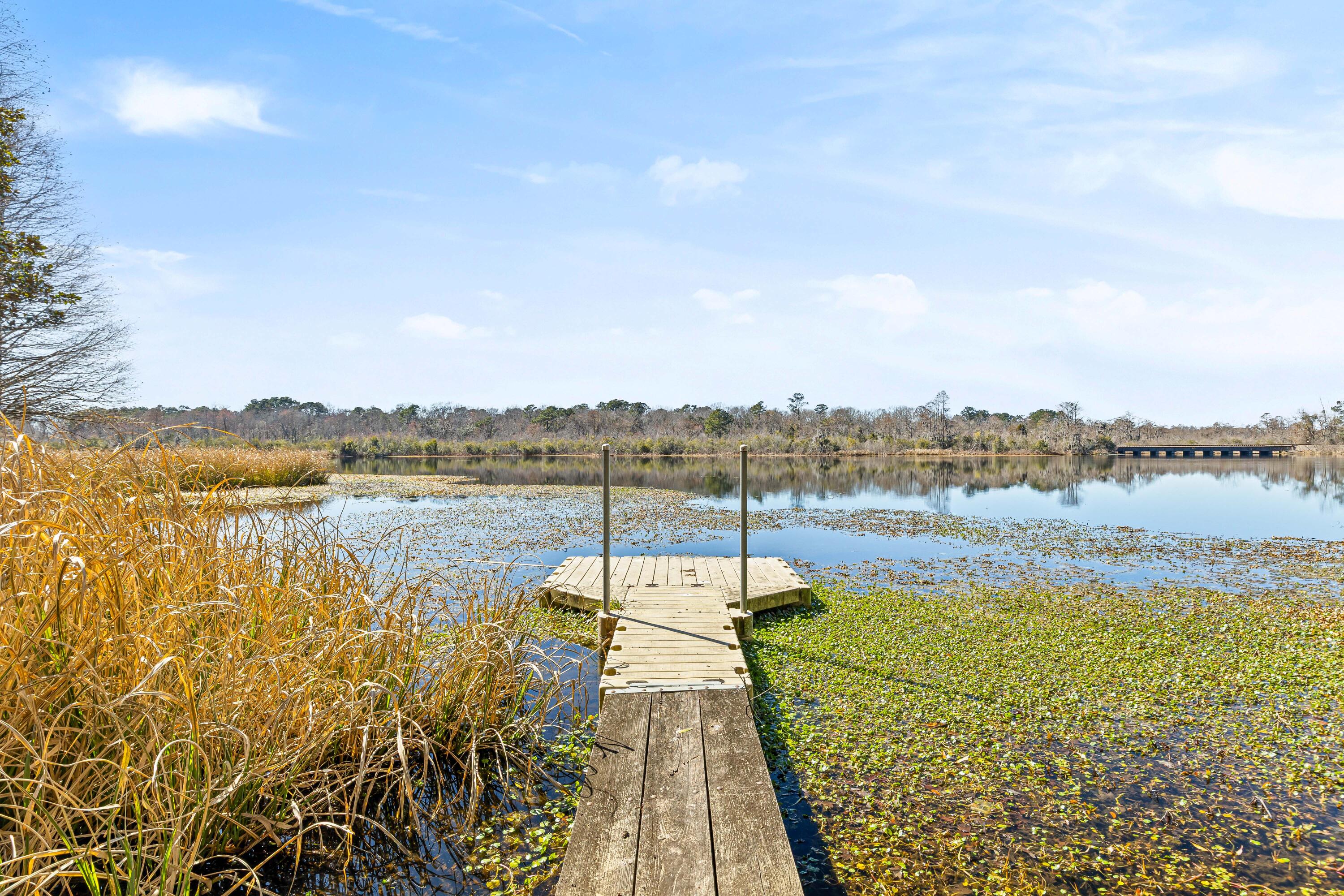 117 Goose Creek Drive