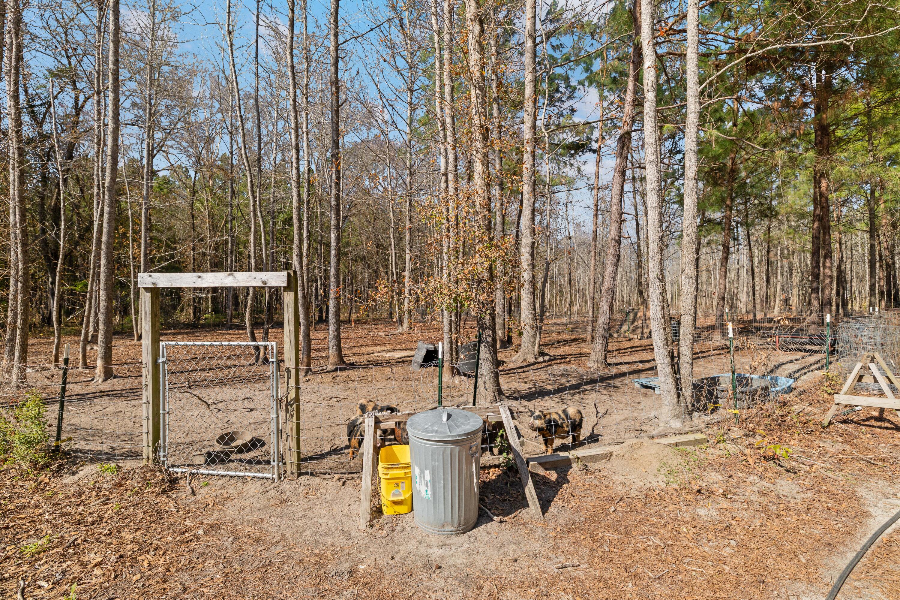 371 Rhode Drive