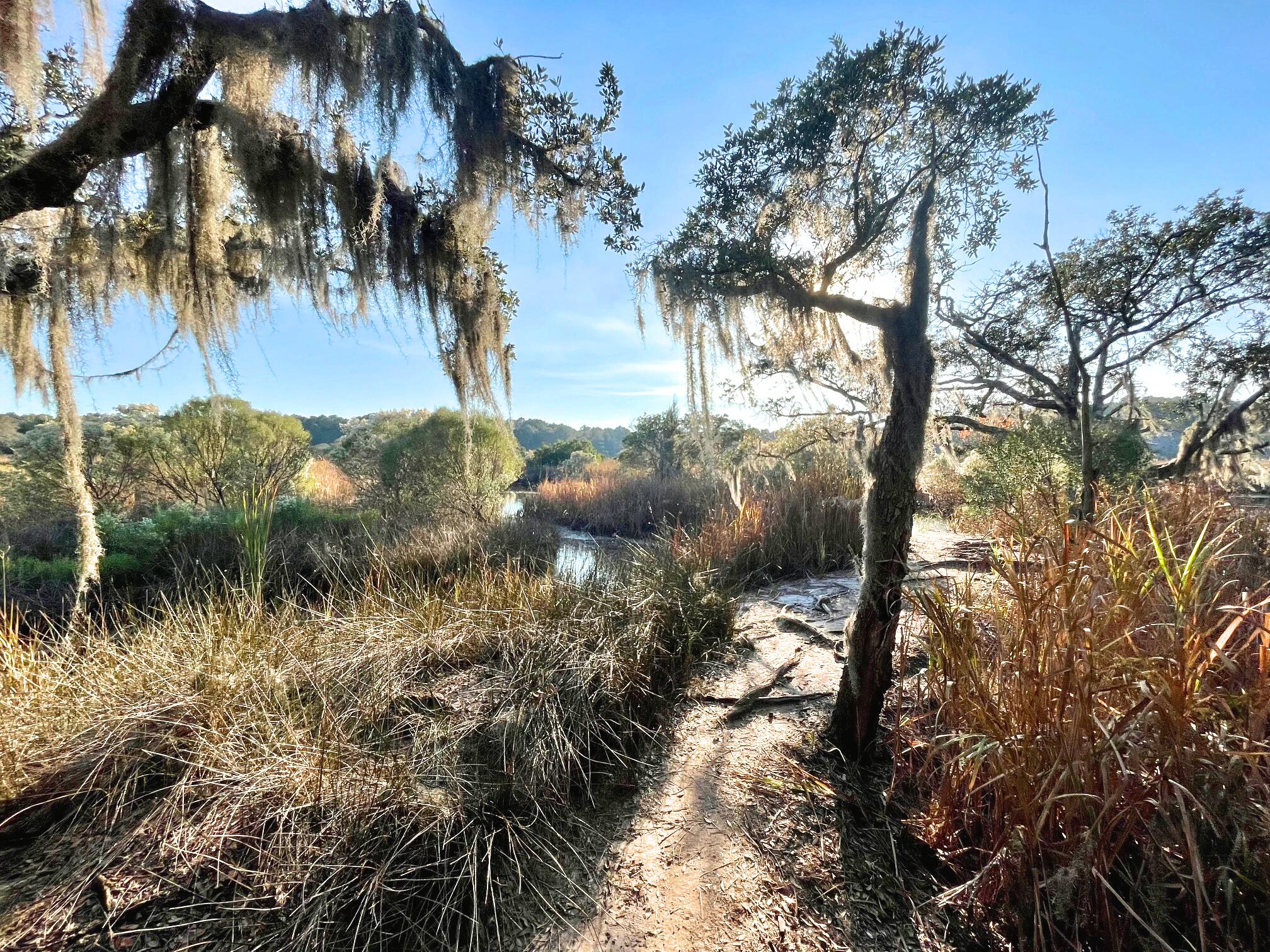 6079 Josie Ridge Road