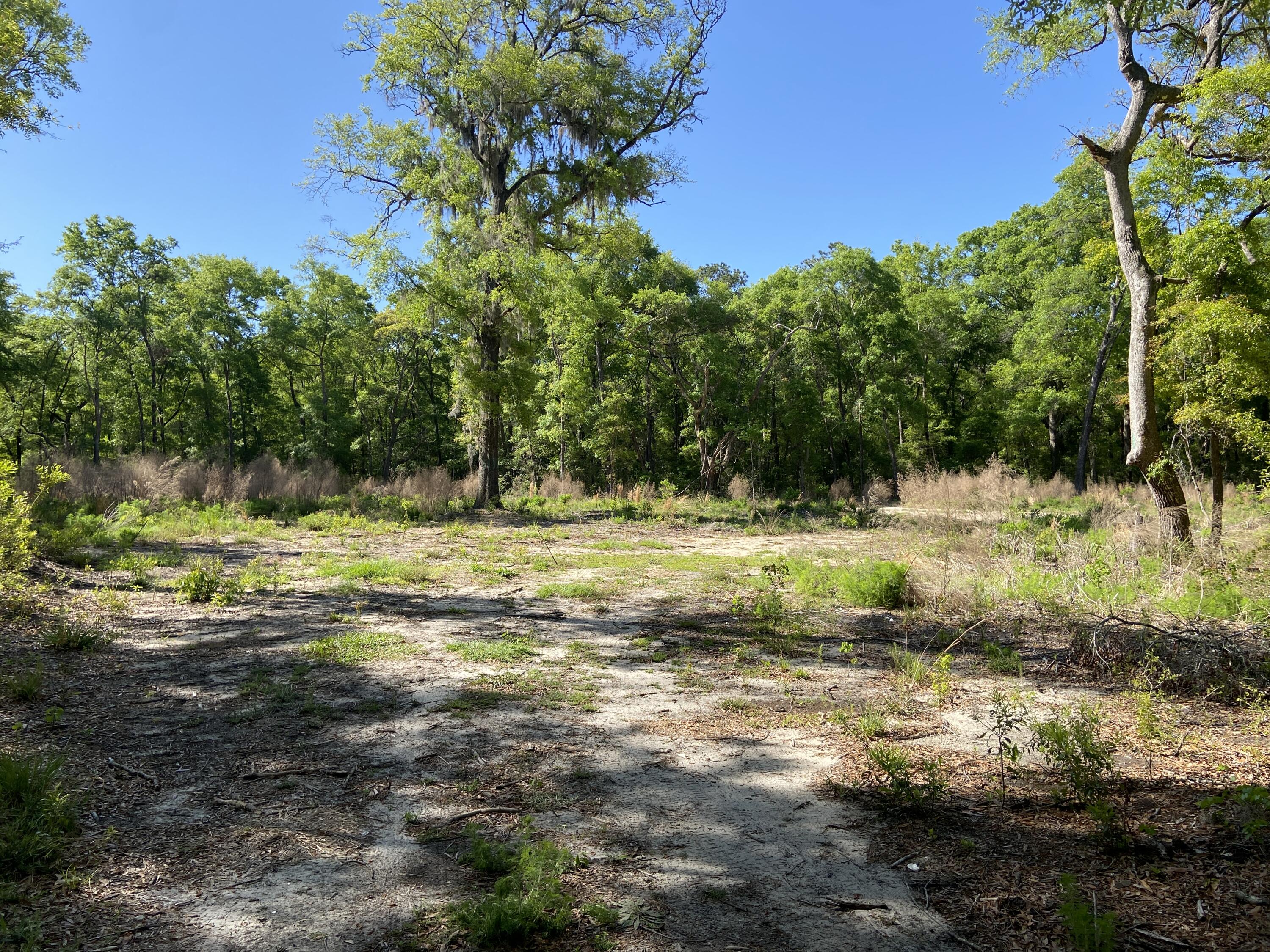 6079 Josie Ridge Road