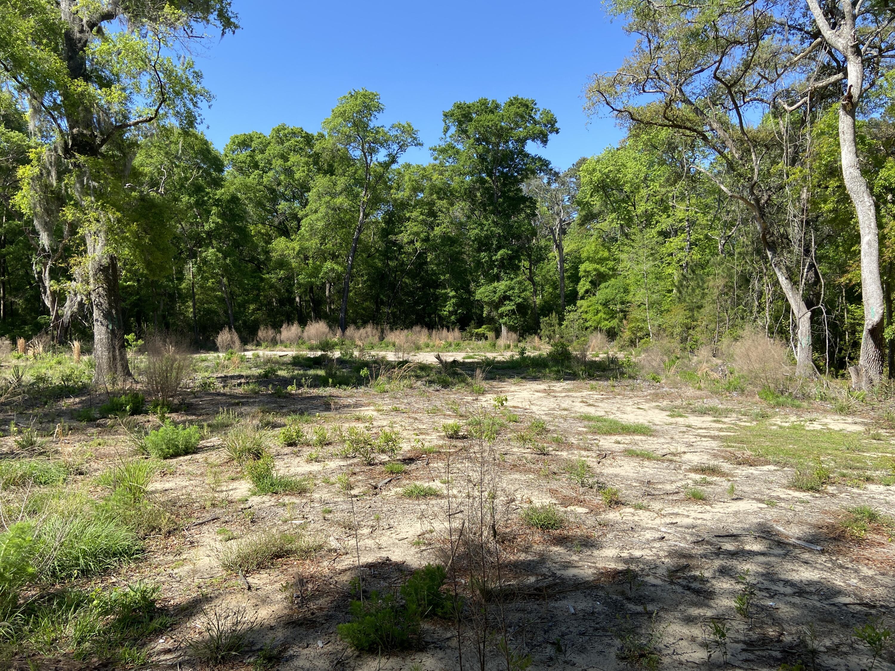 6079 Josie Ridge Road