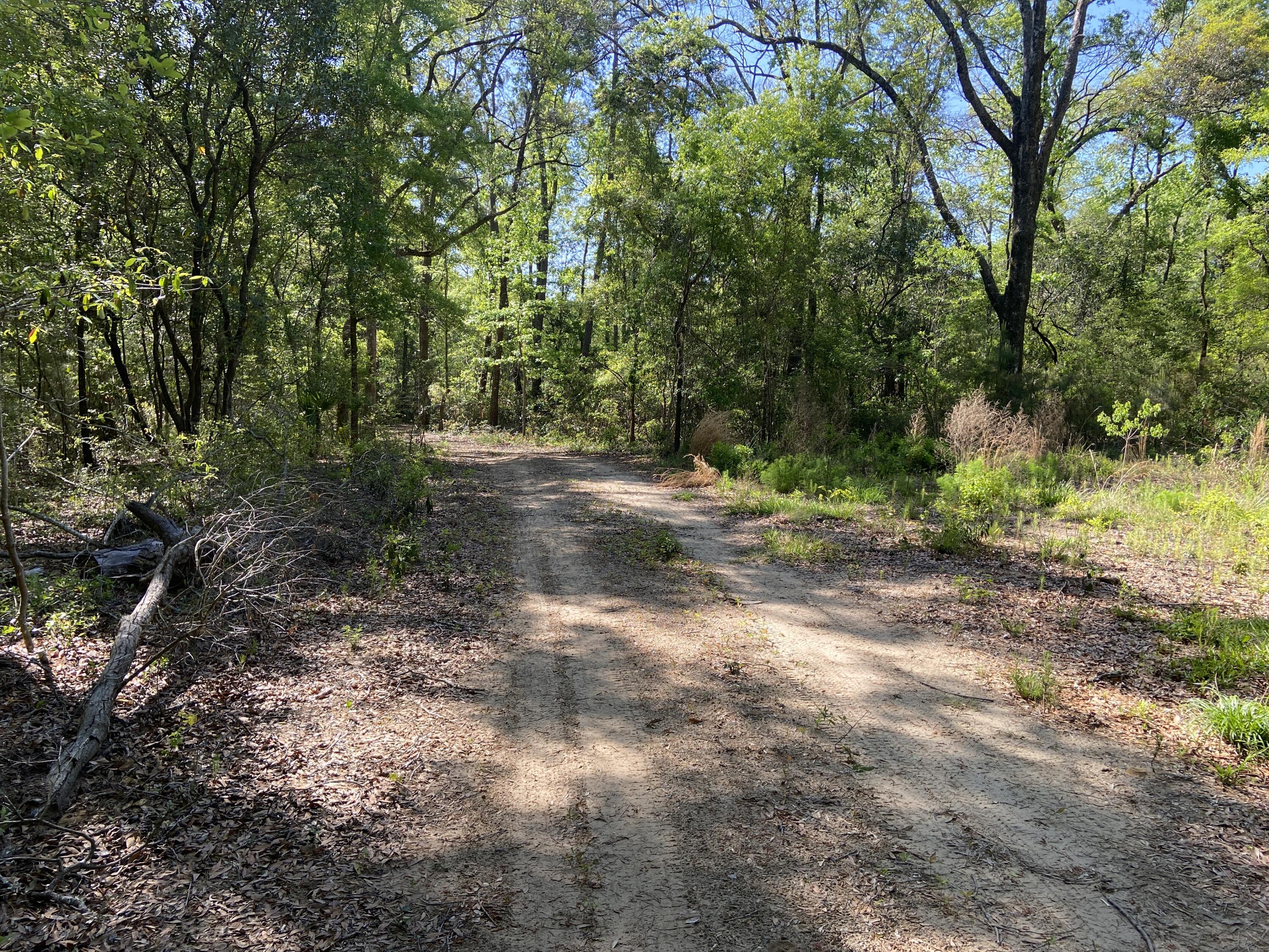 6079 Josie Ridge Road