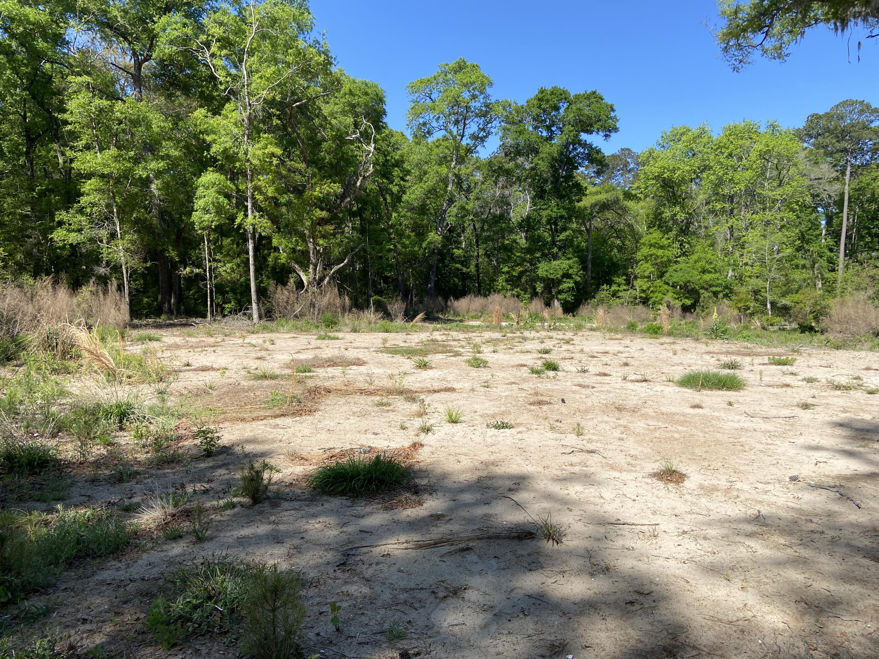 6079 Josie Ridge Road