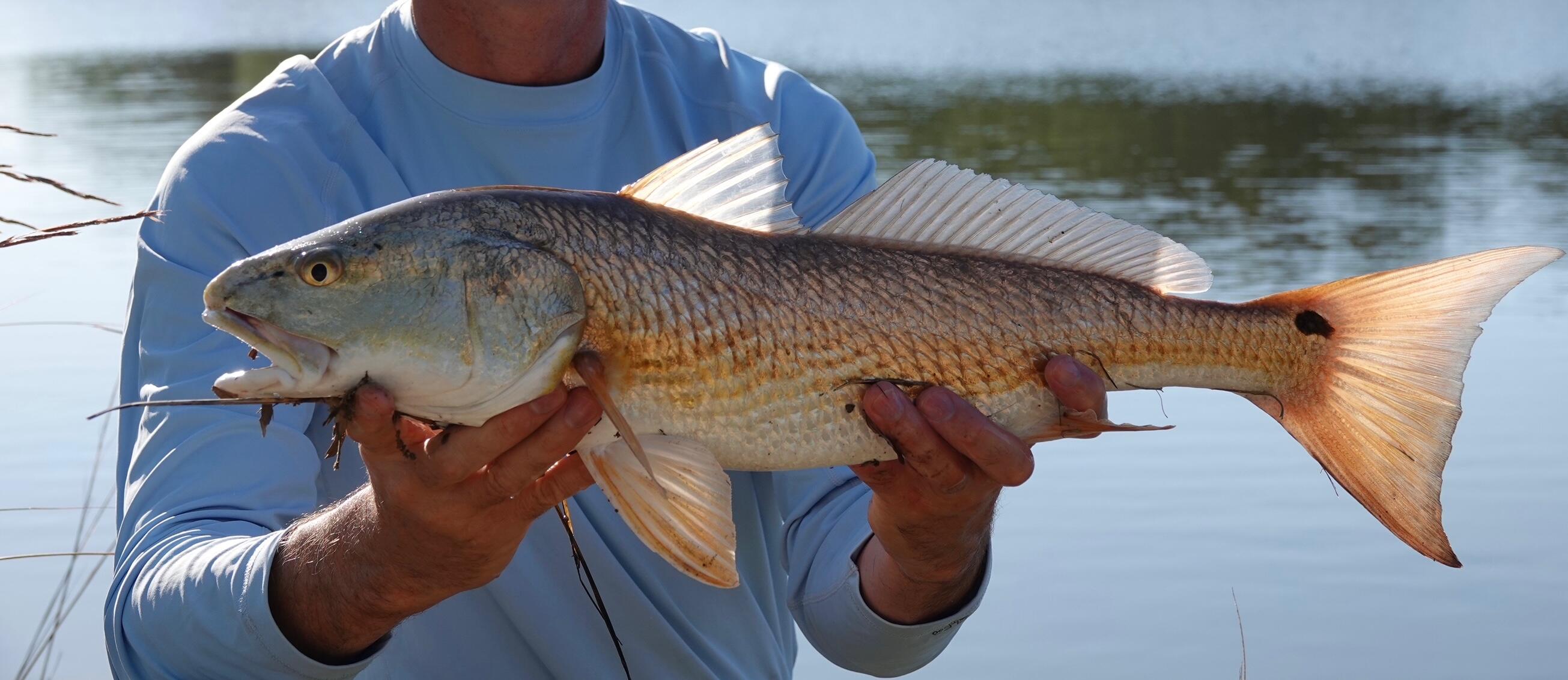 6079 Josie Ridge Road