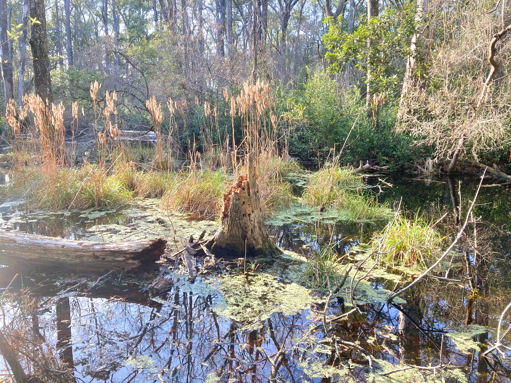 6079 Josie Ridge Road