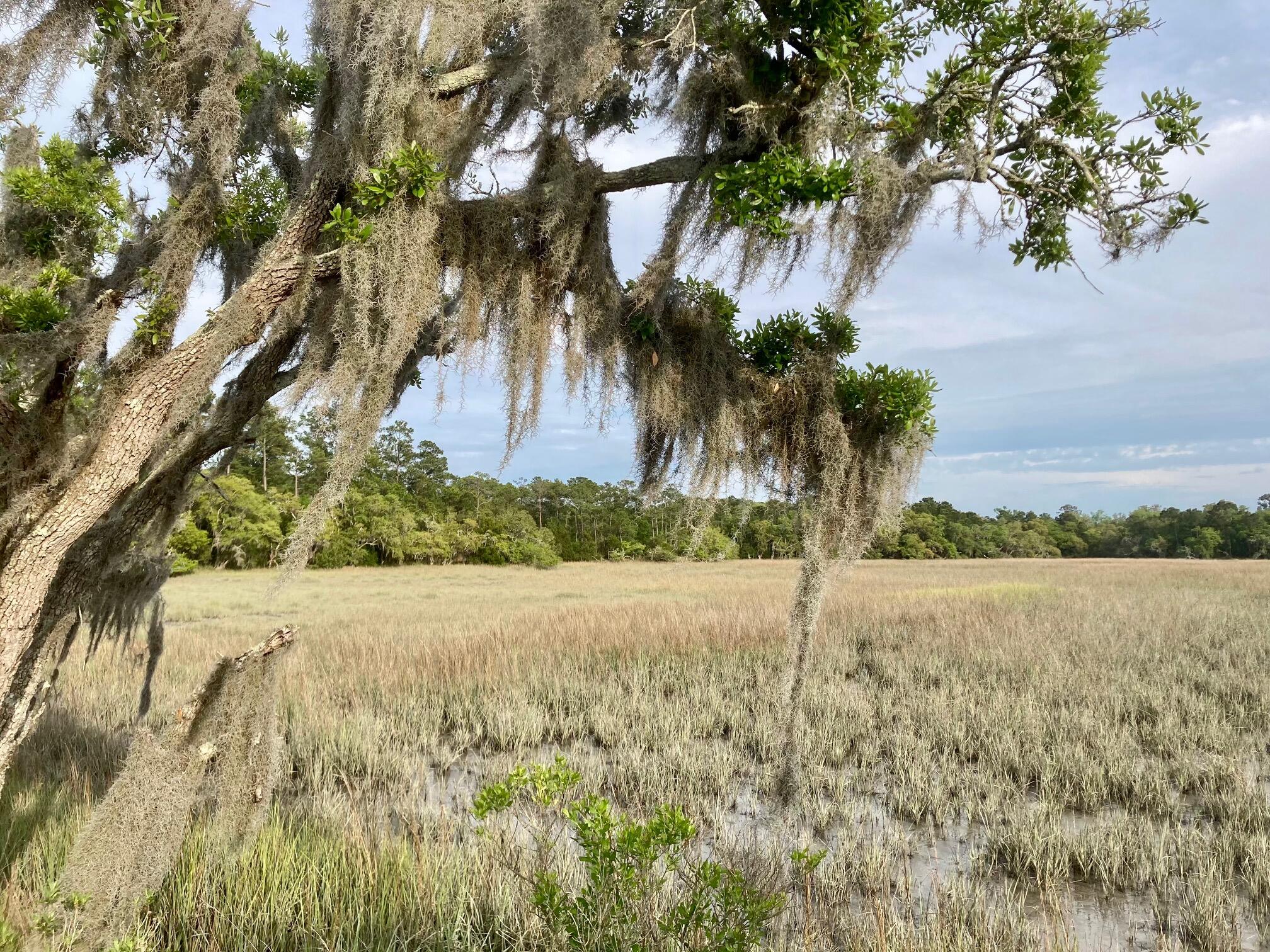 6079 Josie Ridge Road