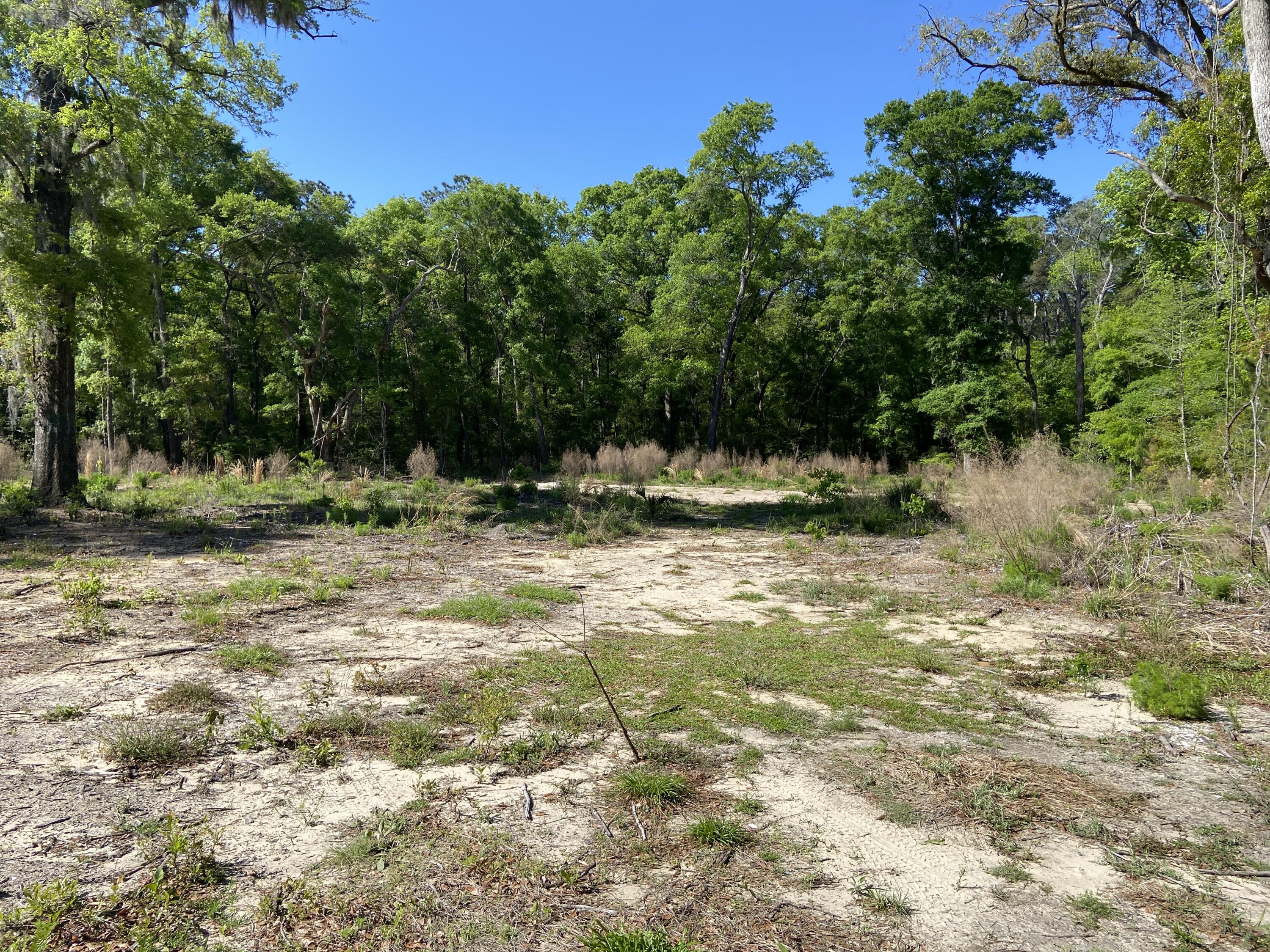 6079 Josie Ridge Road