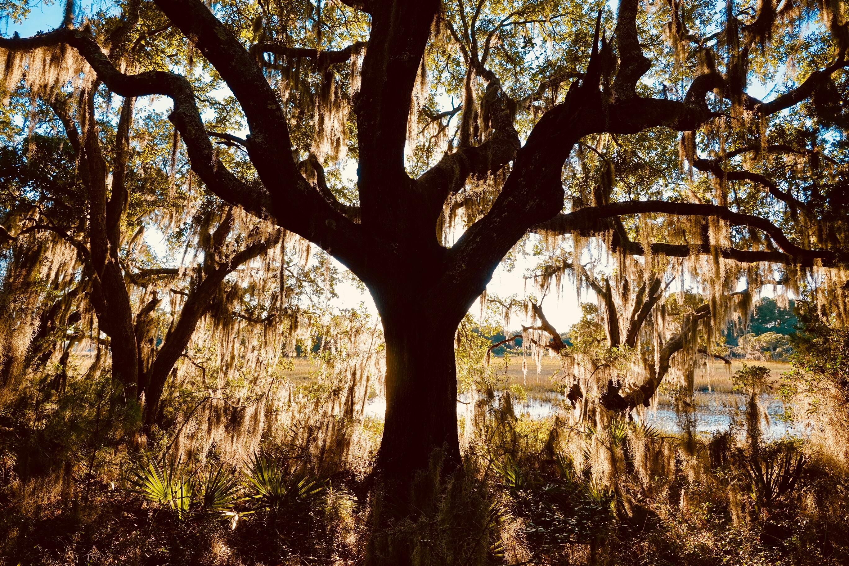 6079 Josie Ridge Road