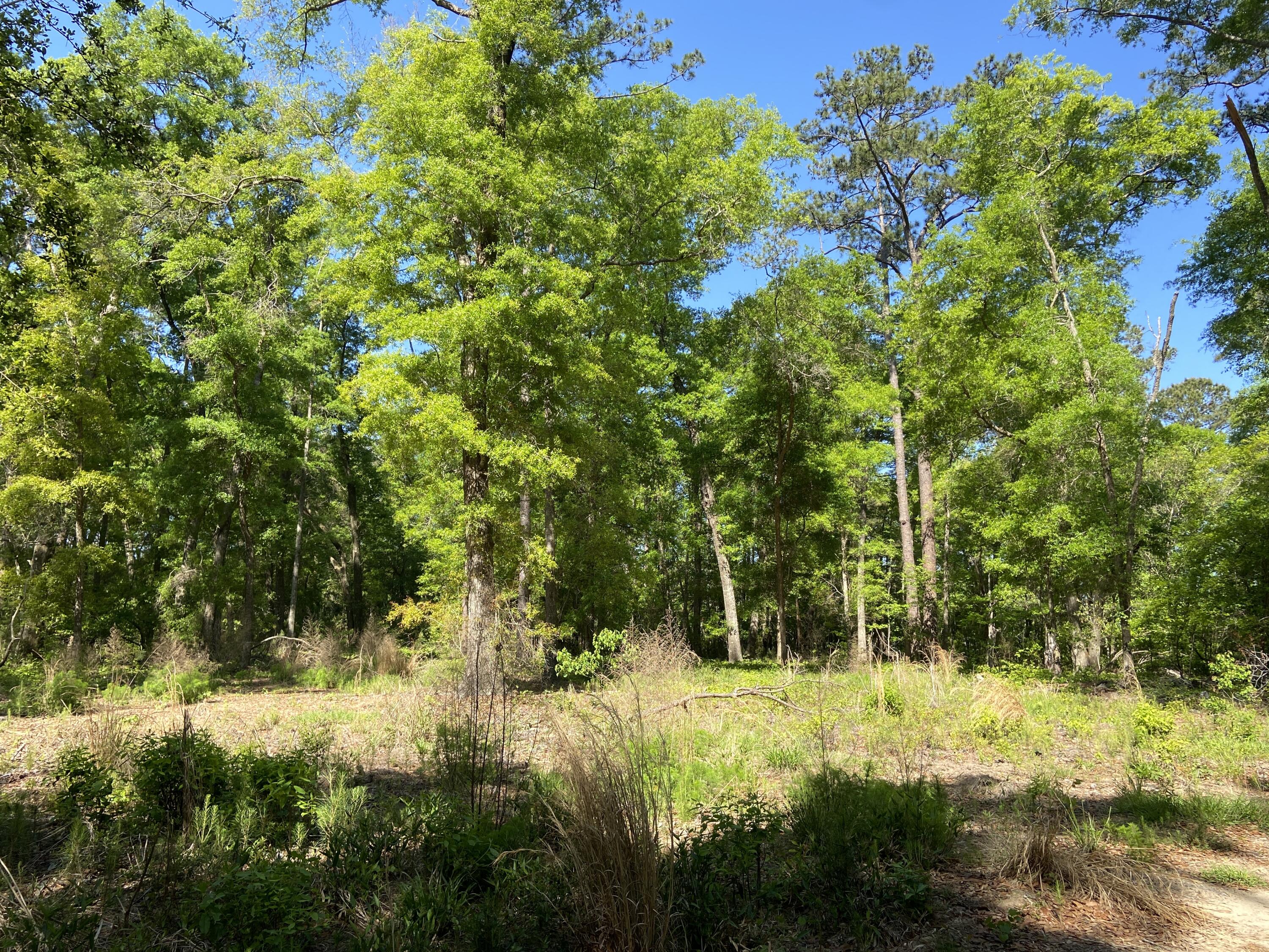 6079 Josie Ridge Road