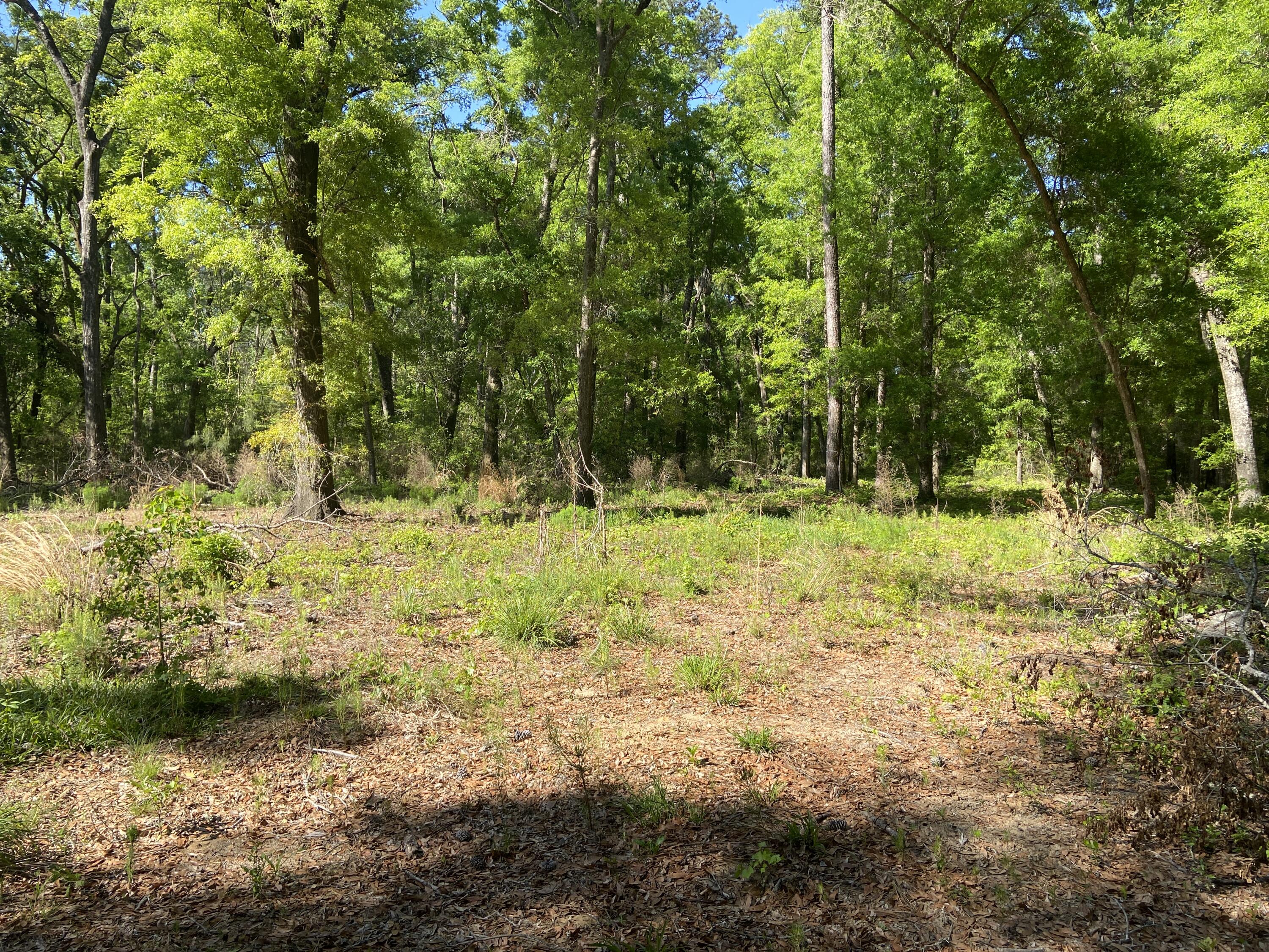 6079 Josie Ridge Road