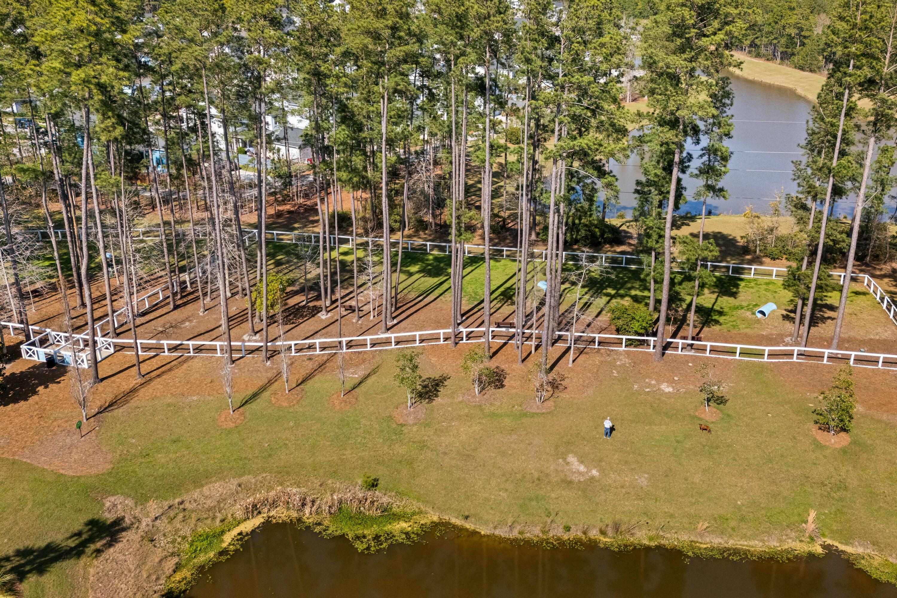 294 Great Lawn Drive
