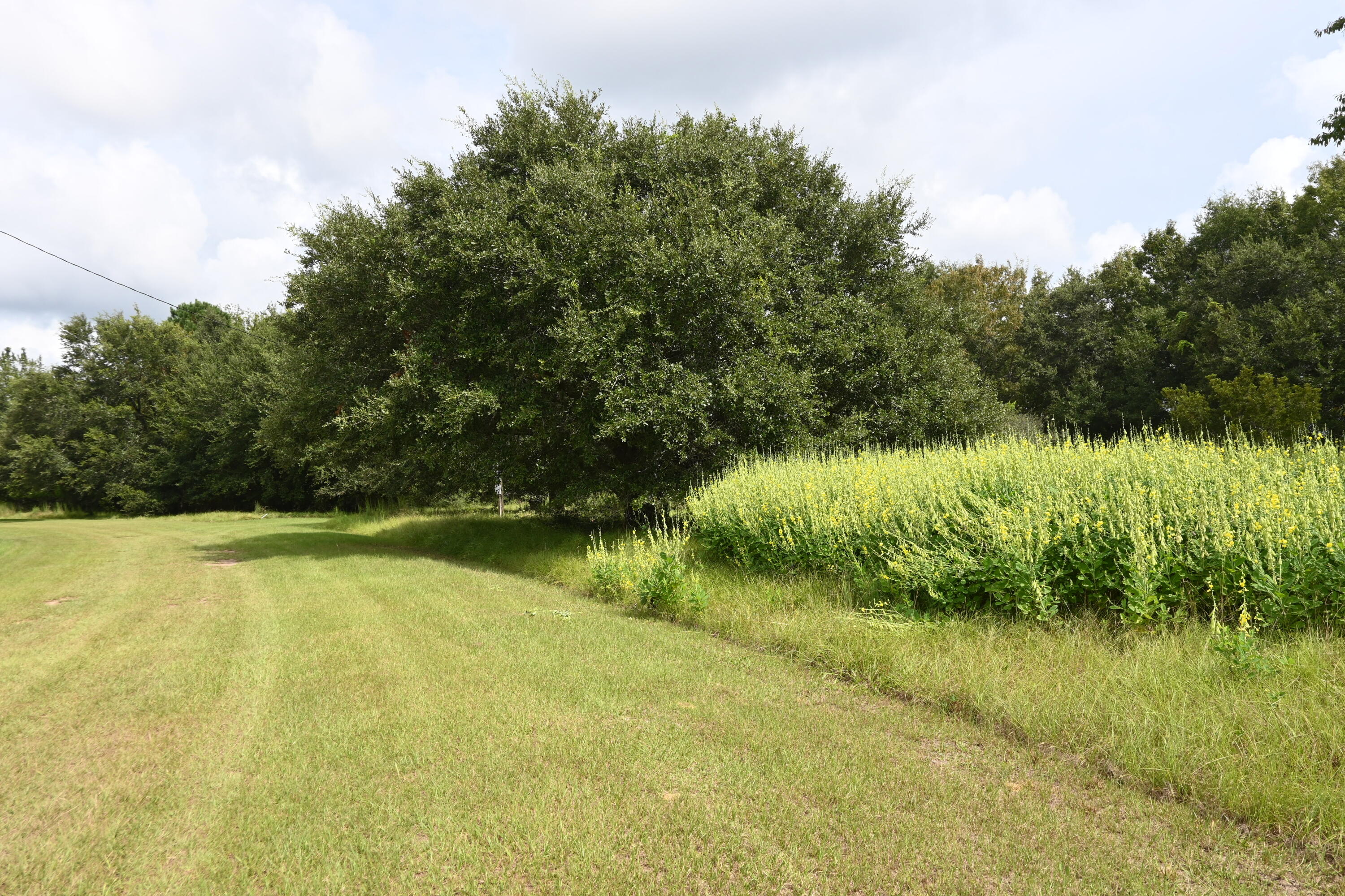 7950 Hopkins Pl Drive Lot 15