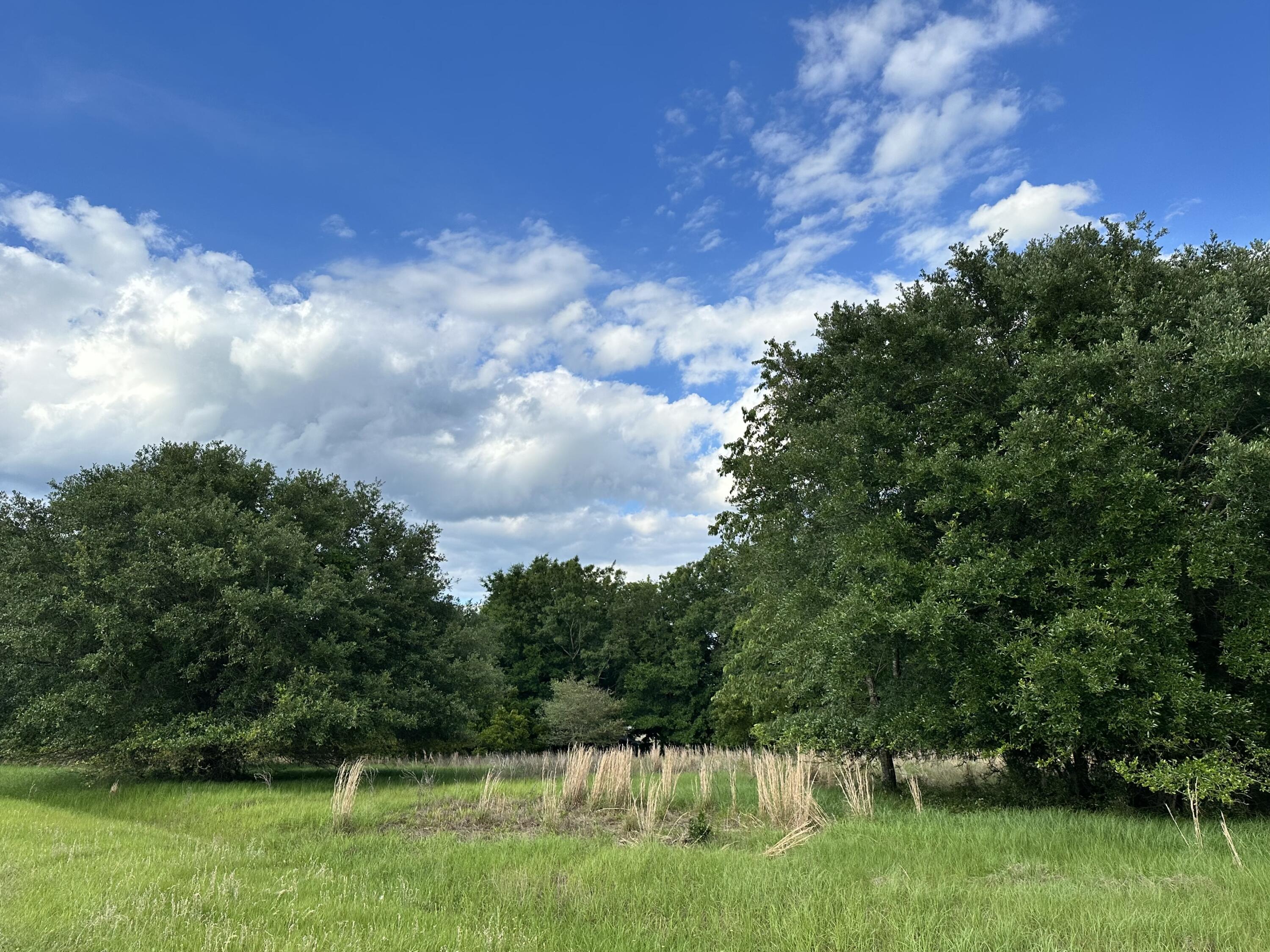 7950 Hopkins Pl Drive Lot 15