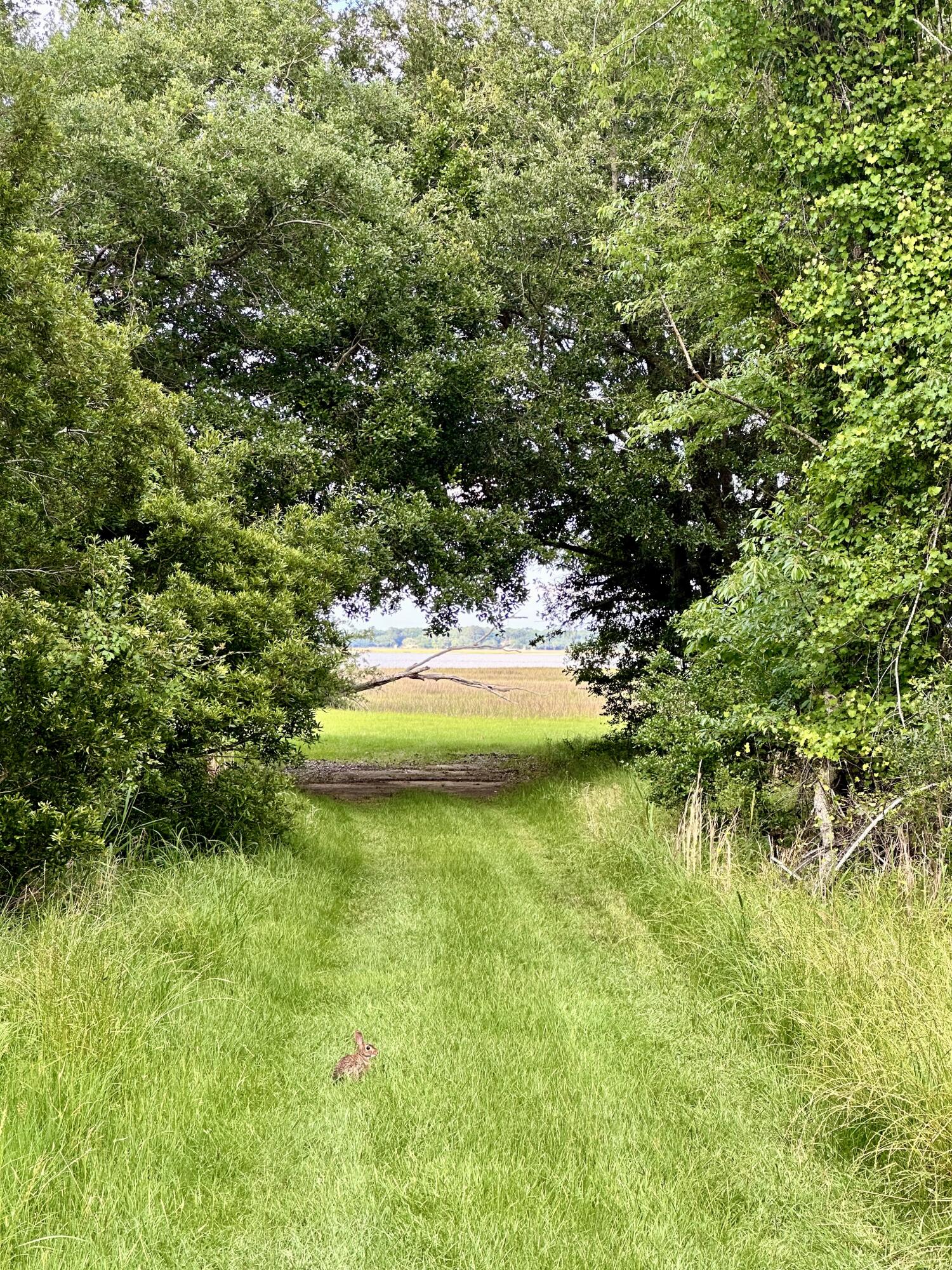 7950 Hopkins Pl Drive Lot 15