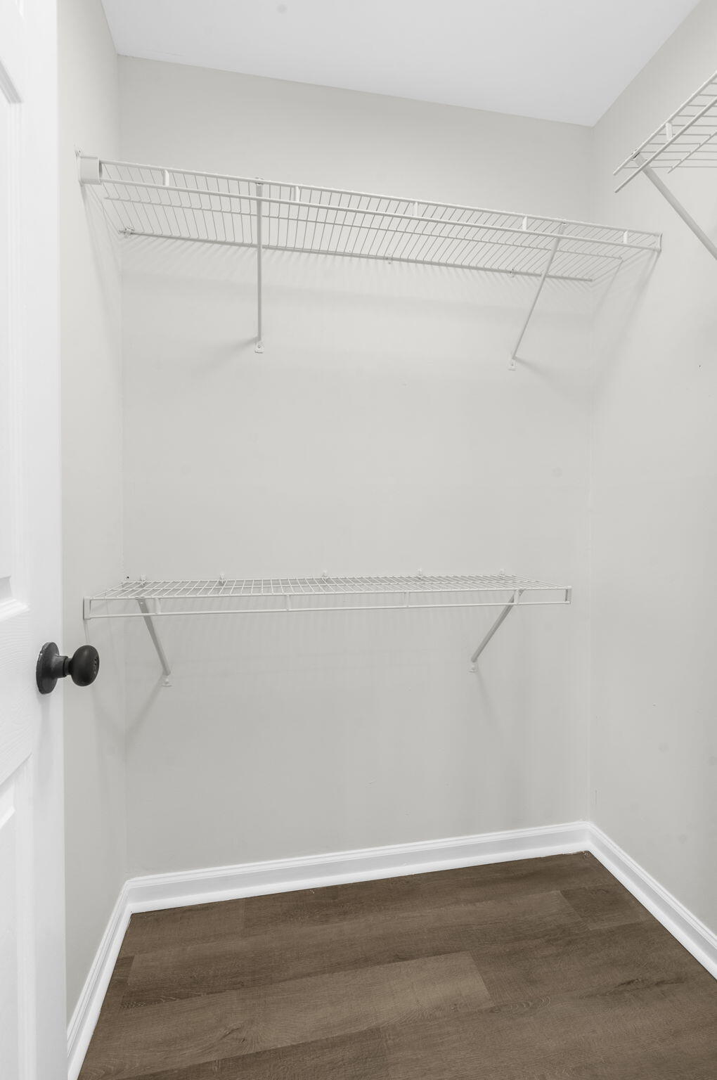 302 Gippy Drive