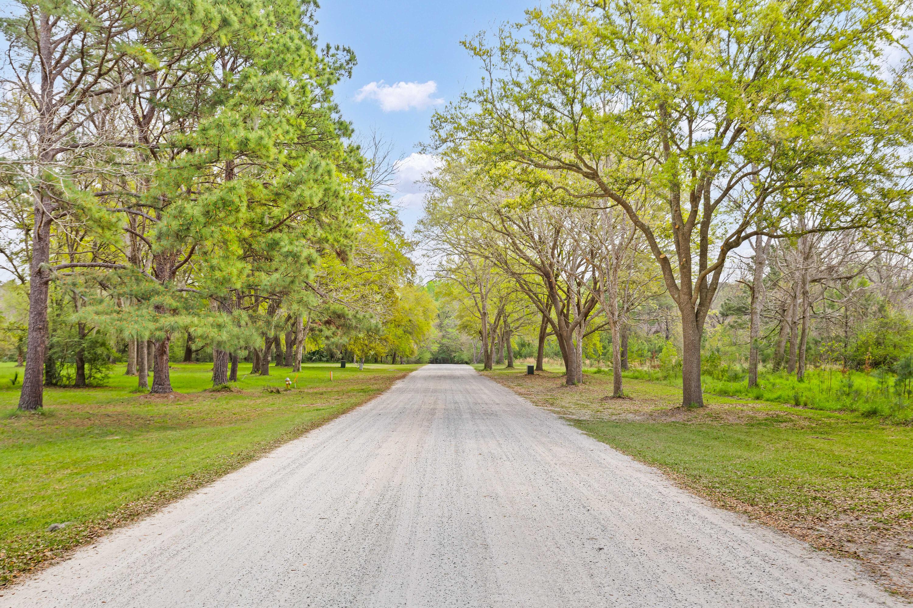 3956 Bulow Plantation Road