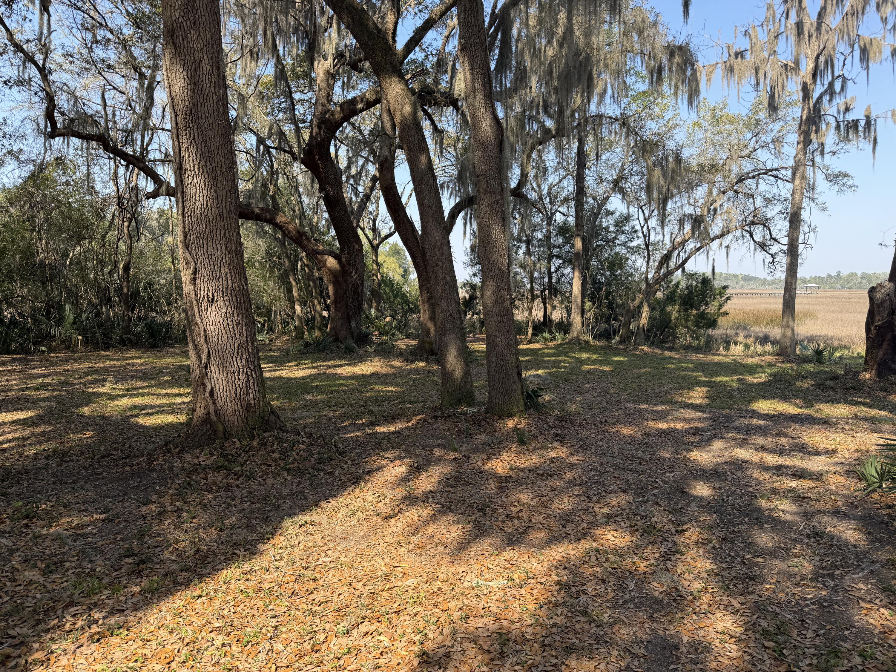 3956 Bulow Plantation Road