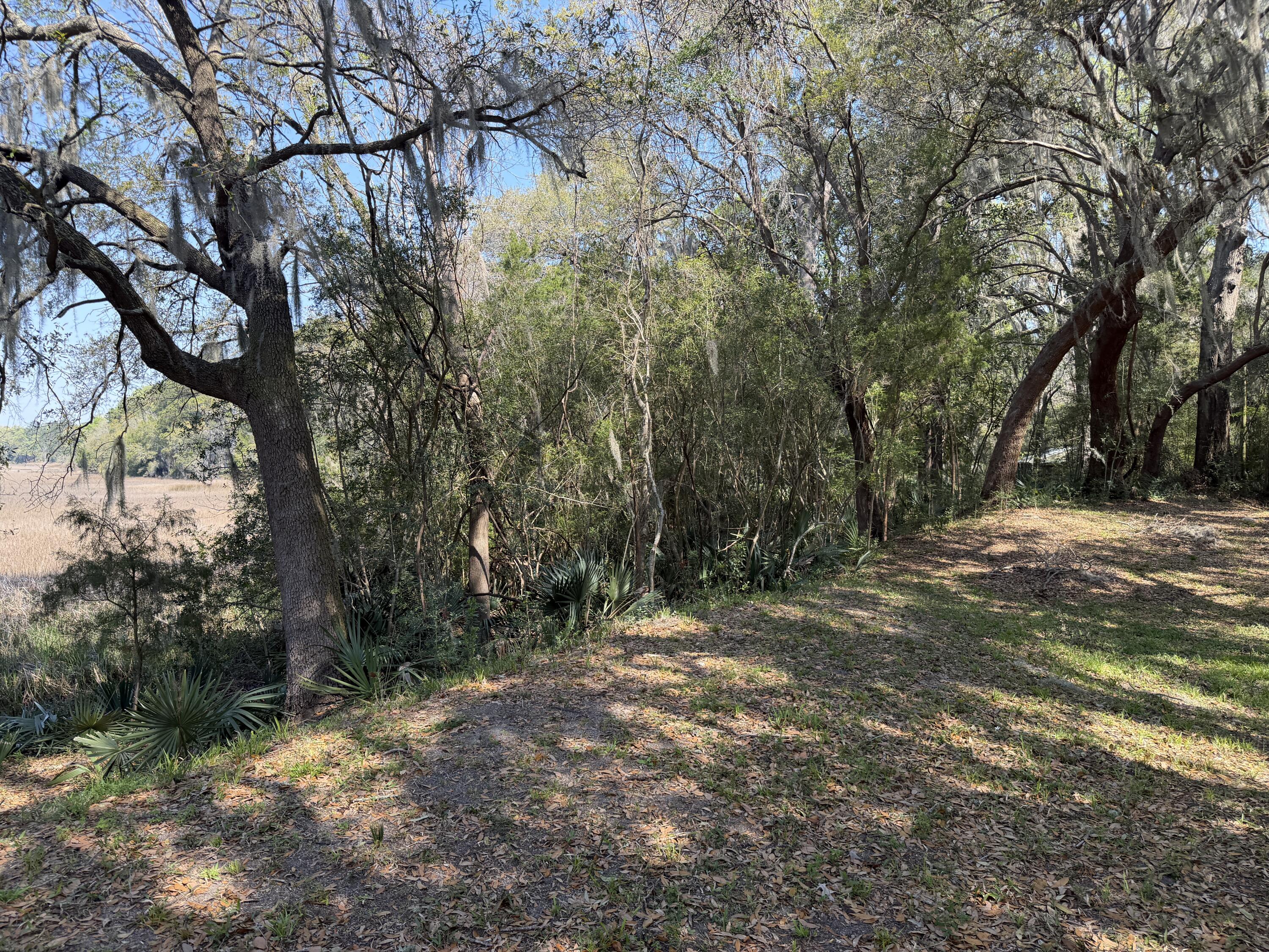 3956 Bulow Plantation Road