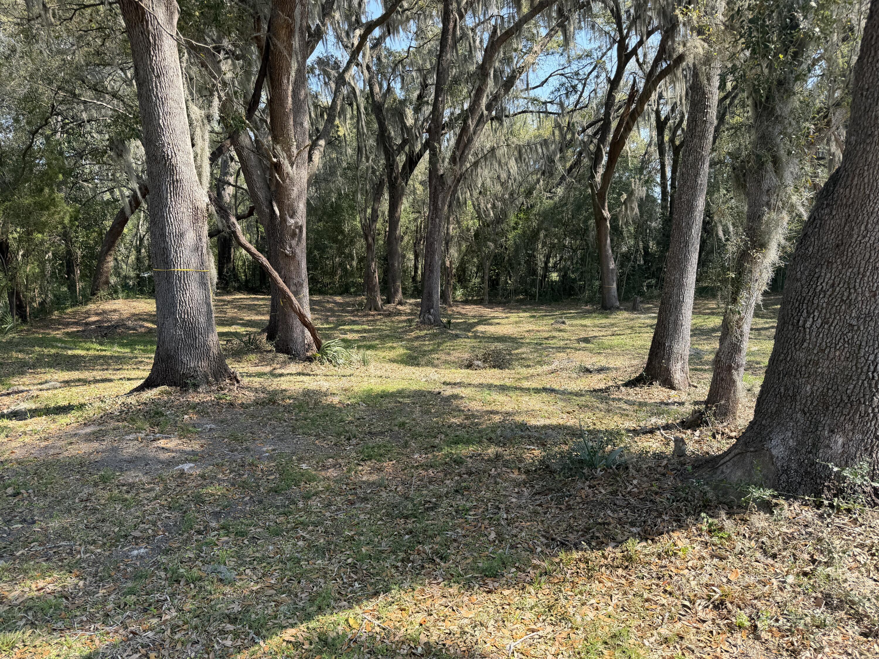 3956 Bulow Plantation Road