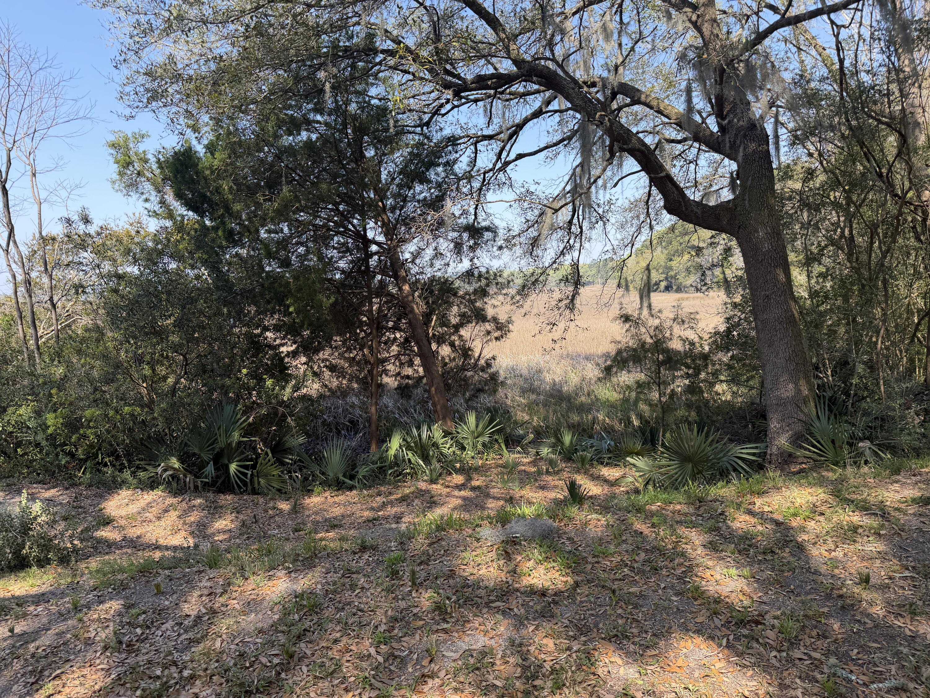 3956 Bulow Plantation Road