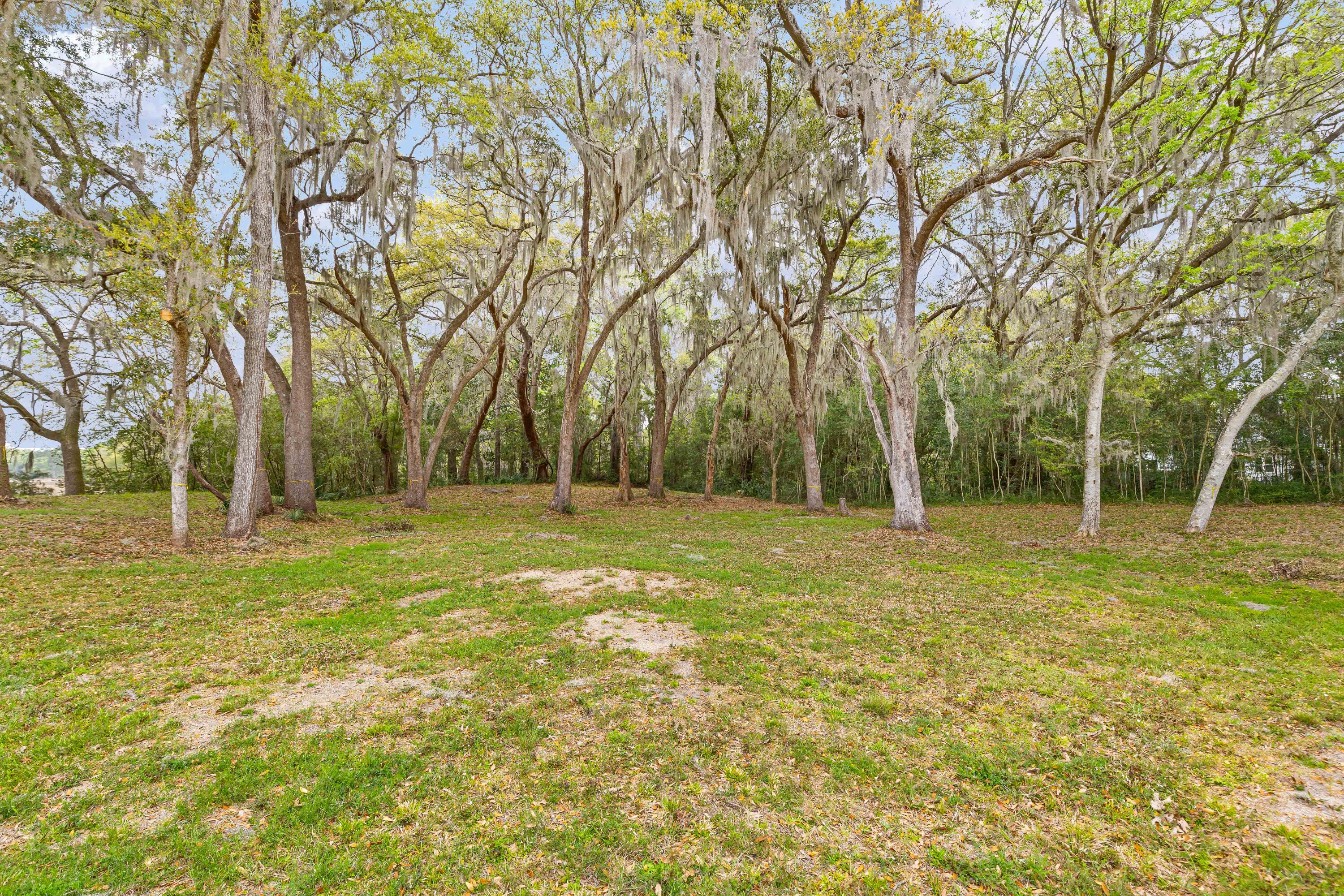 3956 Bulow Plantation Road