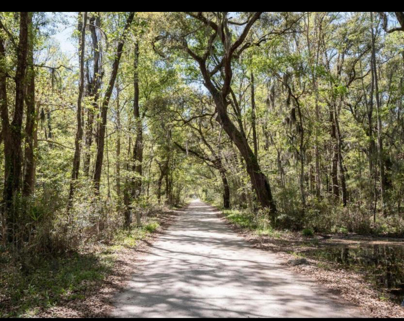 Lot 9 Hopkins Place Drive Lot 9