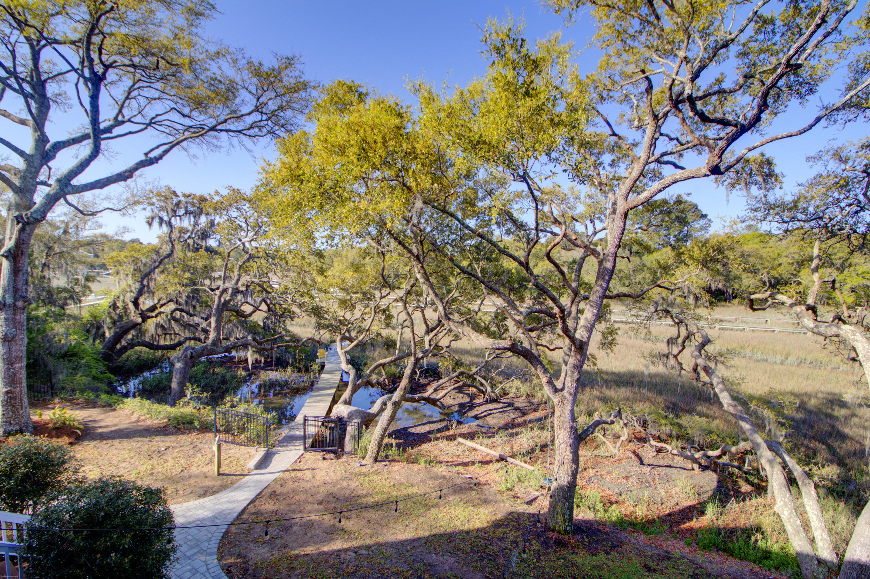 887 Parrot Creek Way