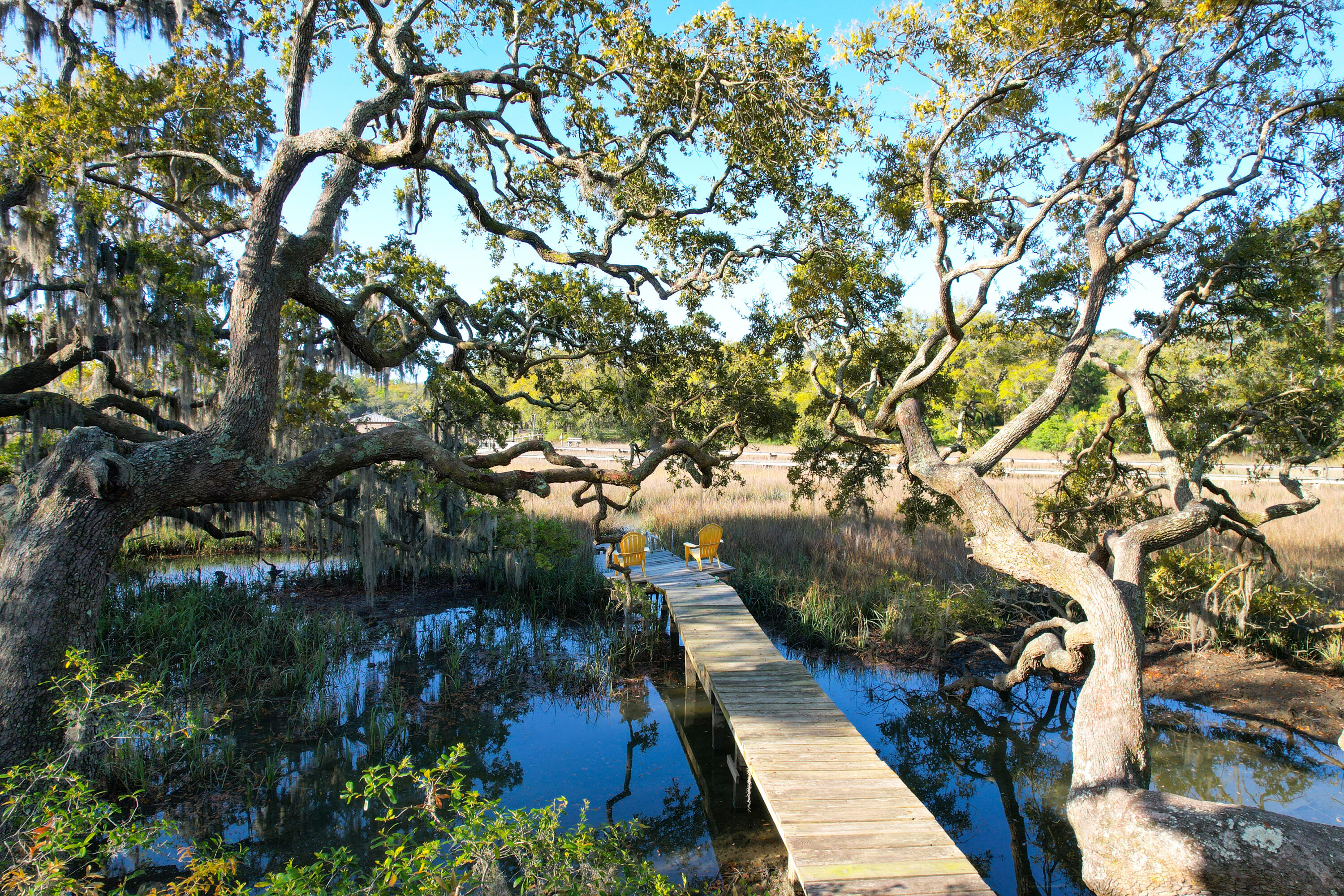 887 Parrot Creek Way