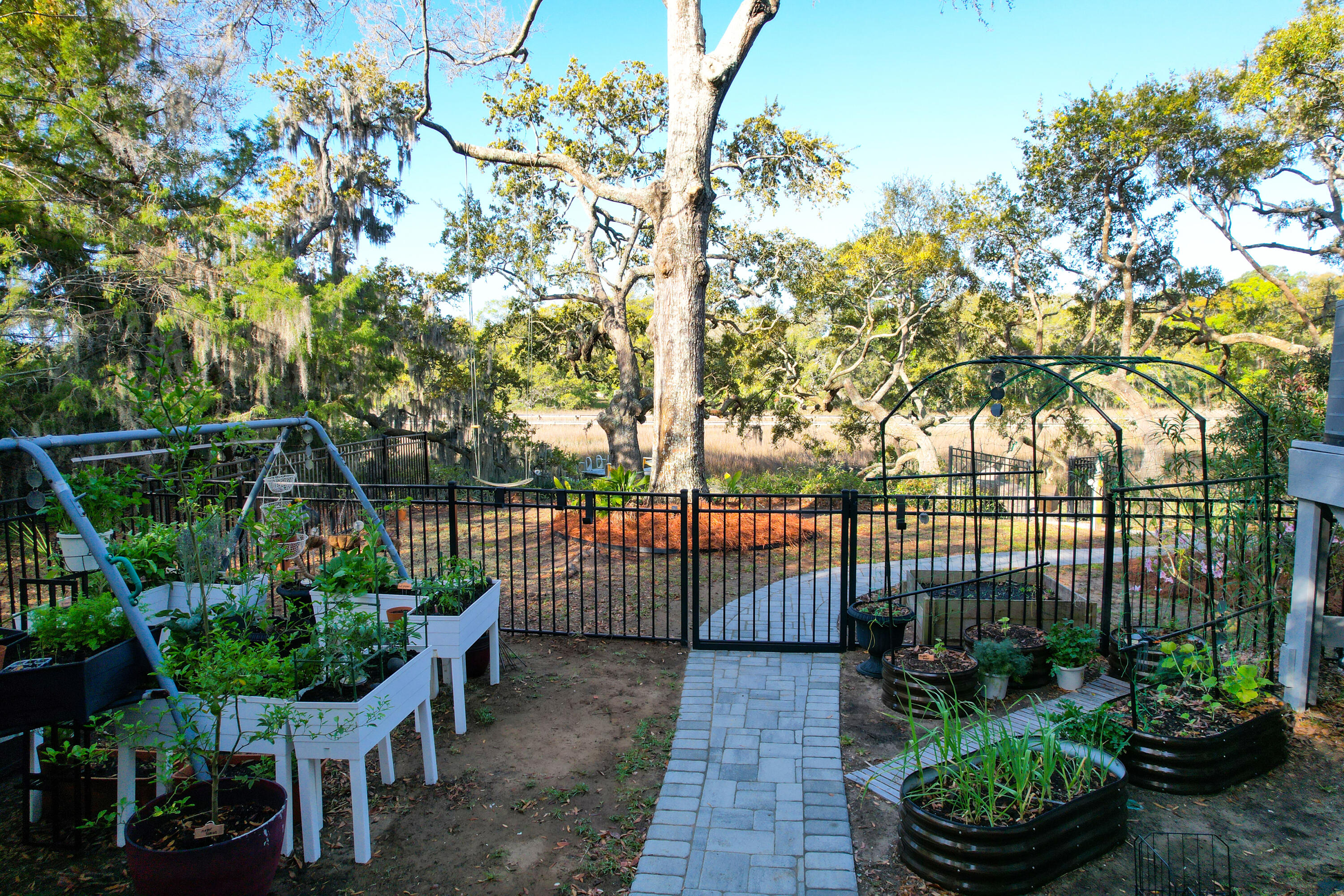 887 Parrot Creek Way