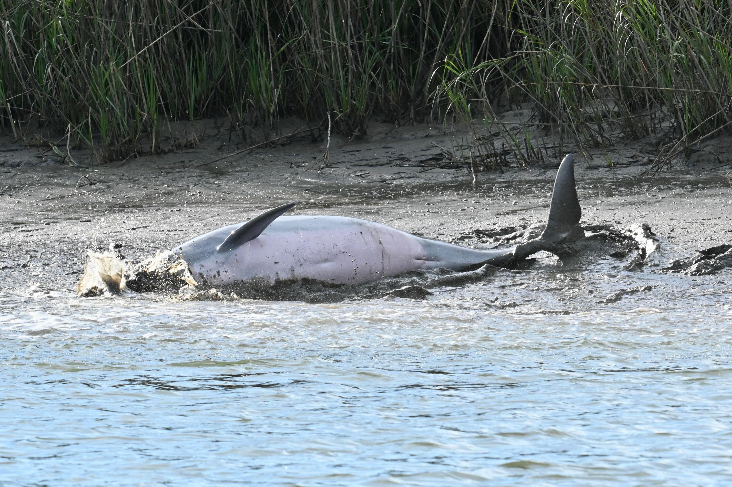 1692 Wharf Ferry Road