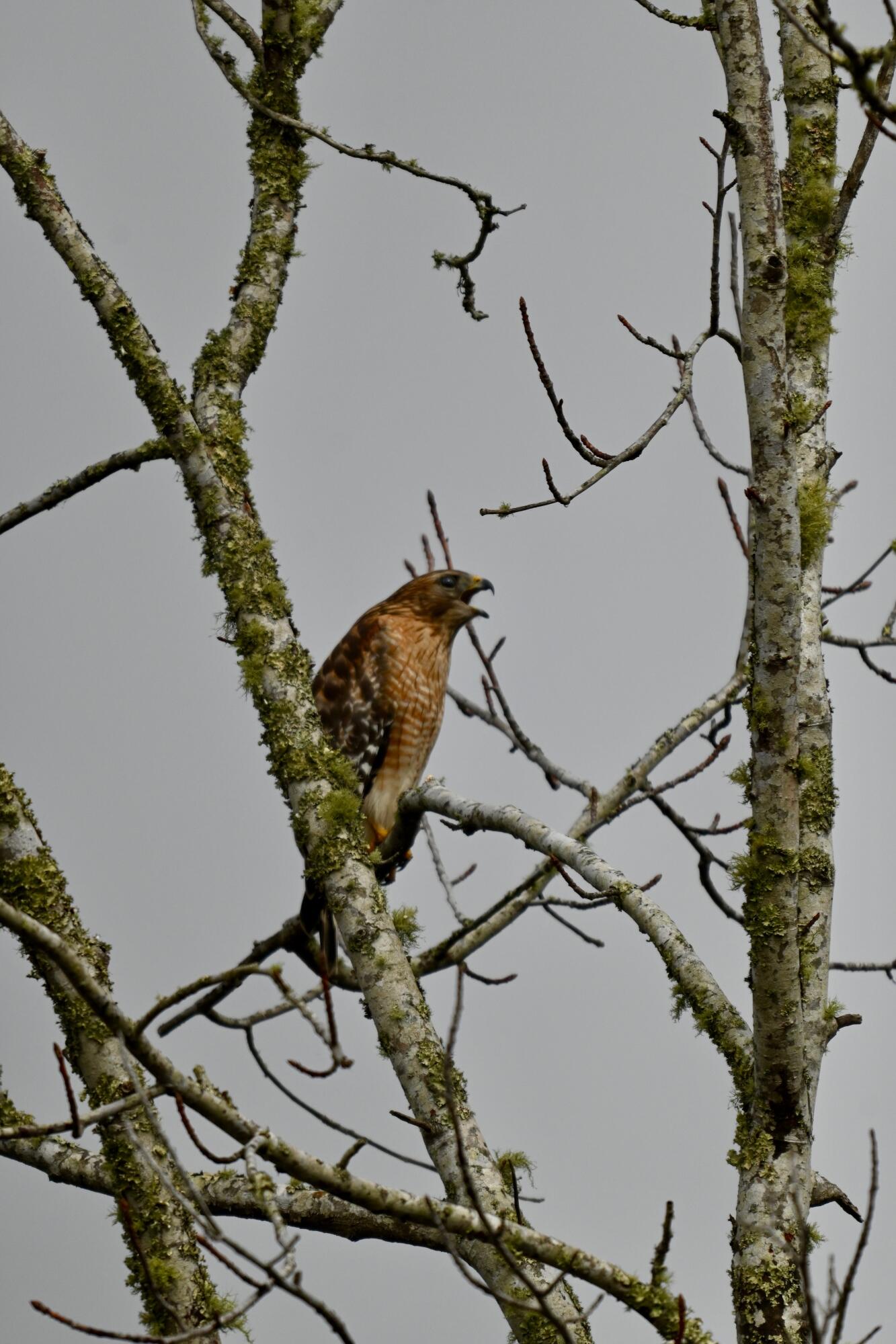 1692 Wharf Ferry Road