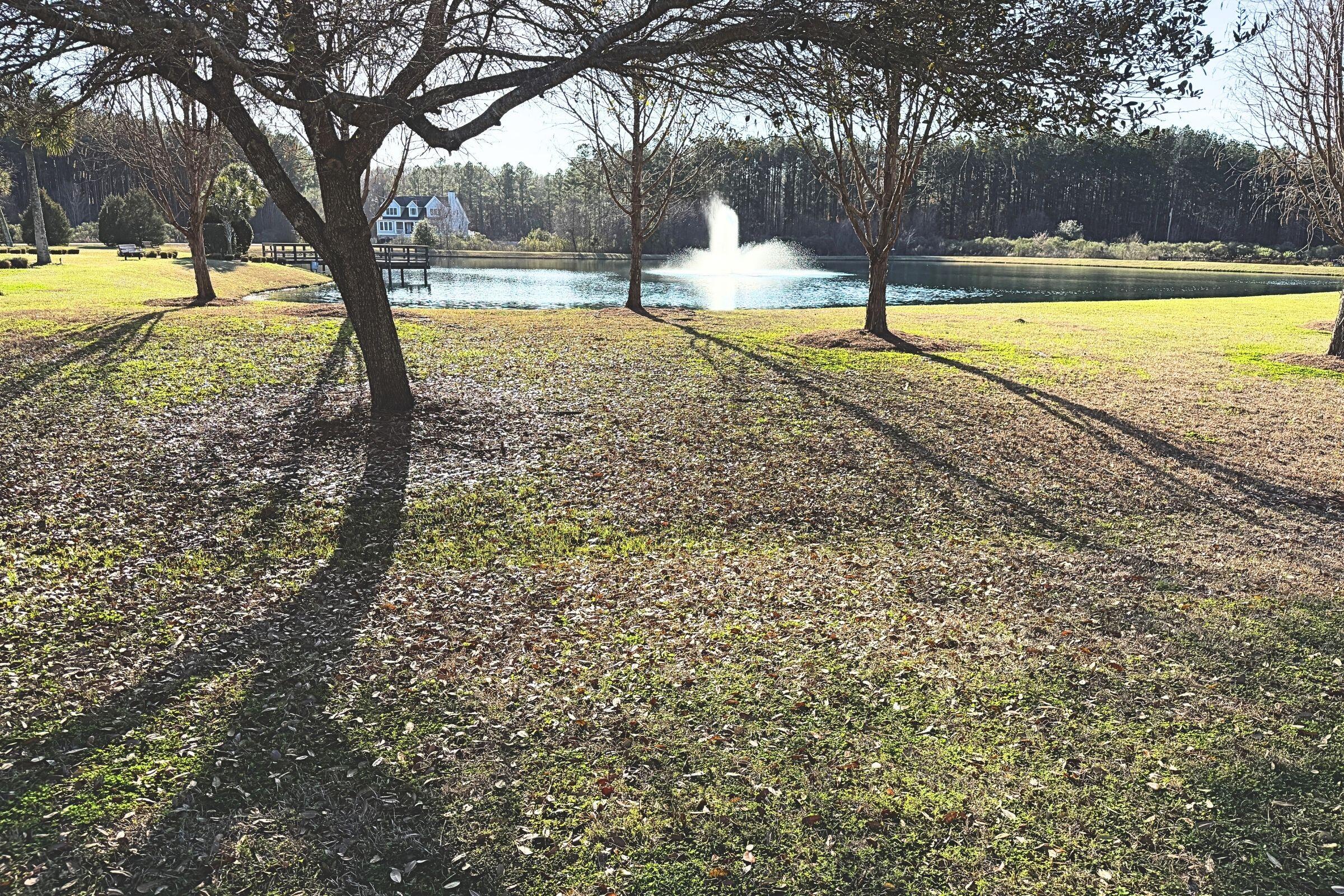 1321 Wood Sorrel Drive