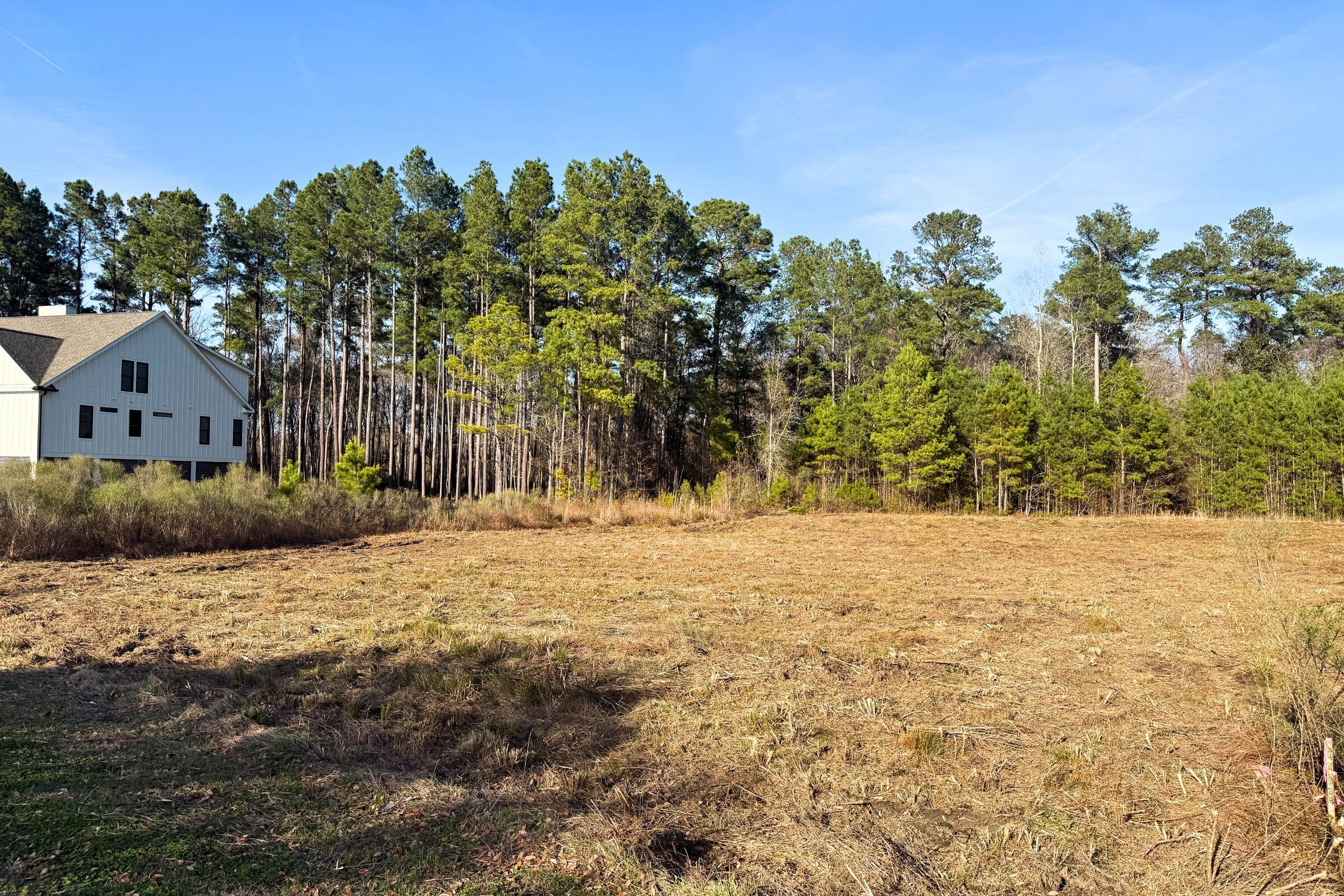 1321 Wood Sorrel Drive