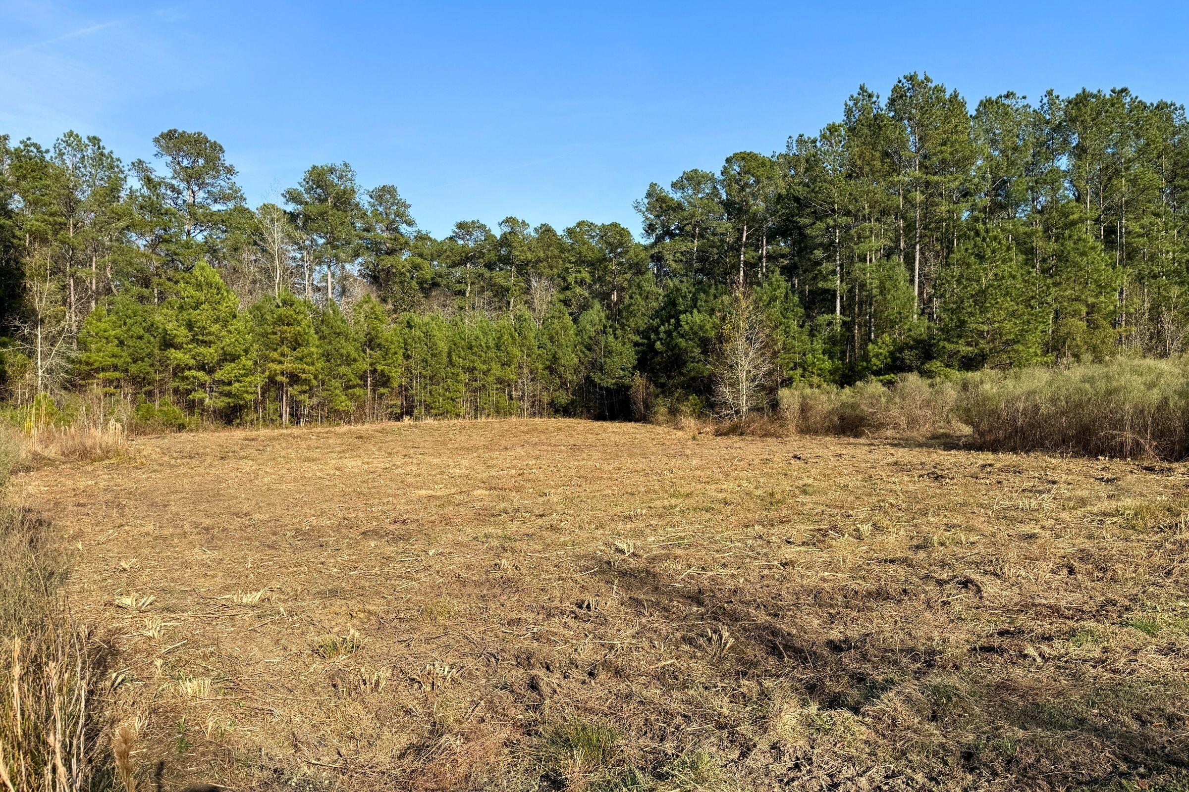 1321 Wood Sorrel Drive