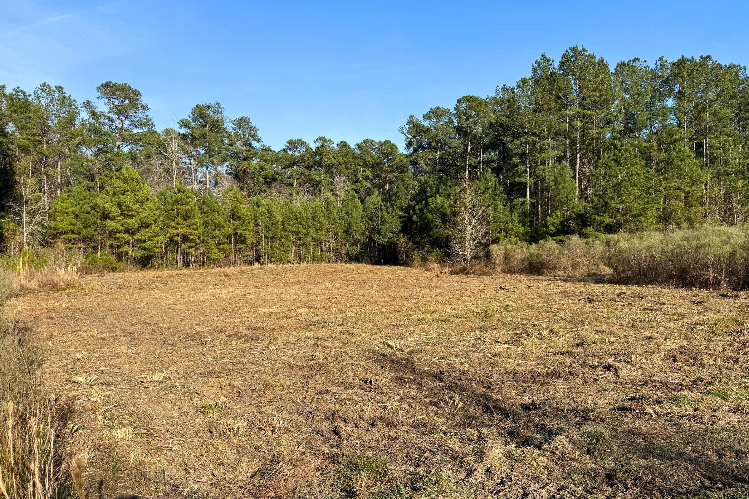 1321 Wood Sorrel Drive