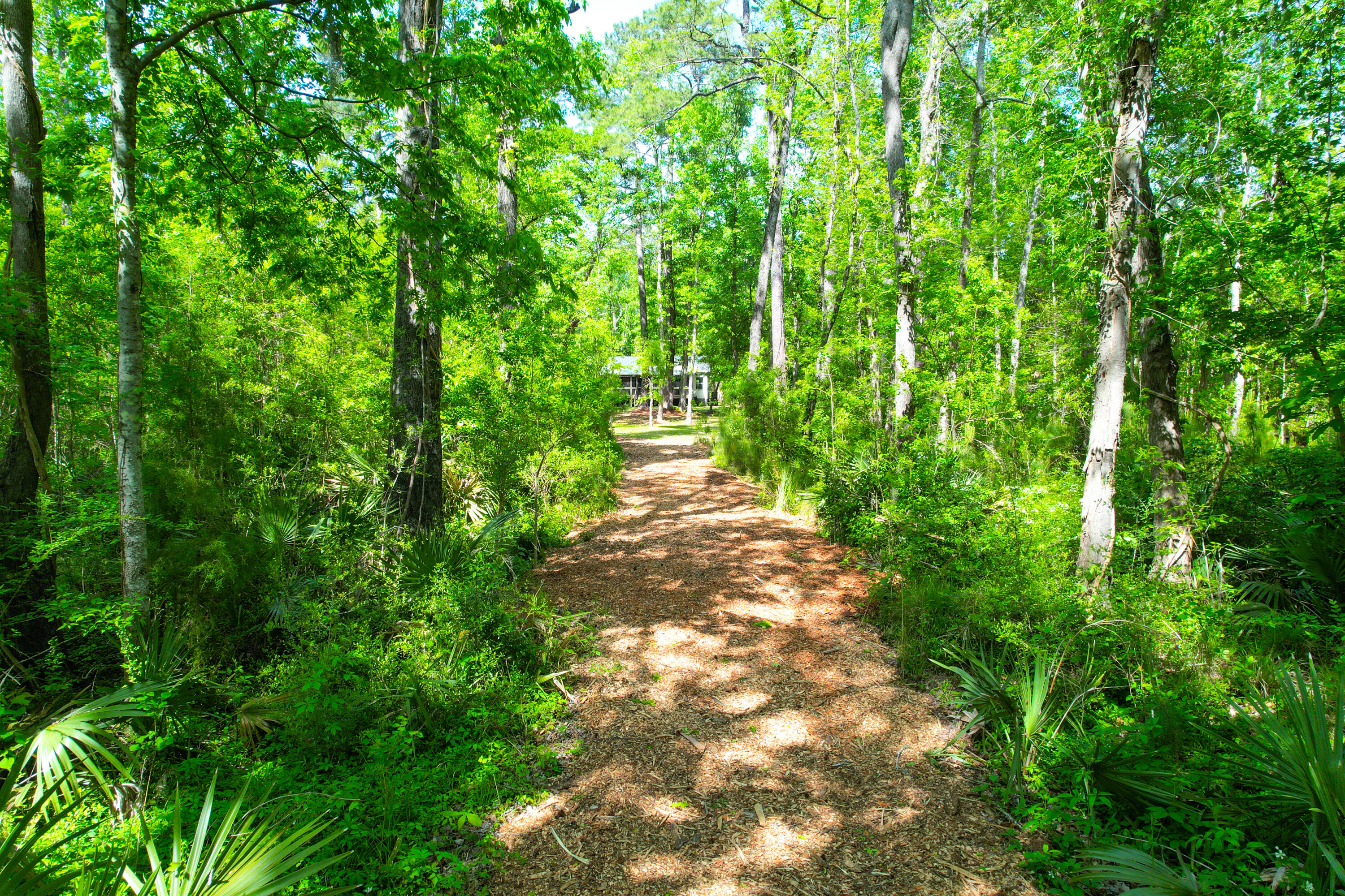 3195 Old Pond Road