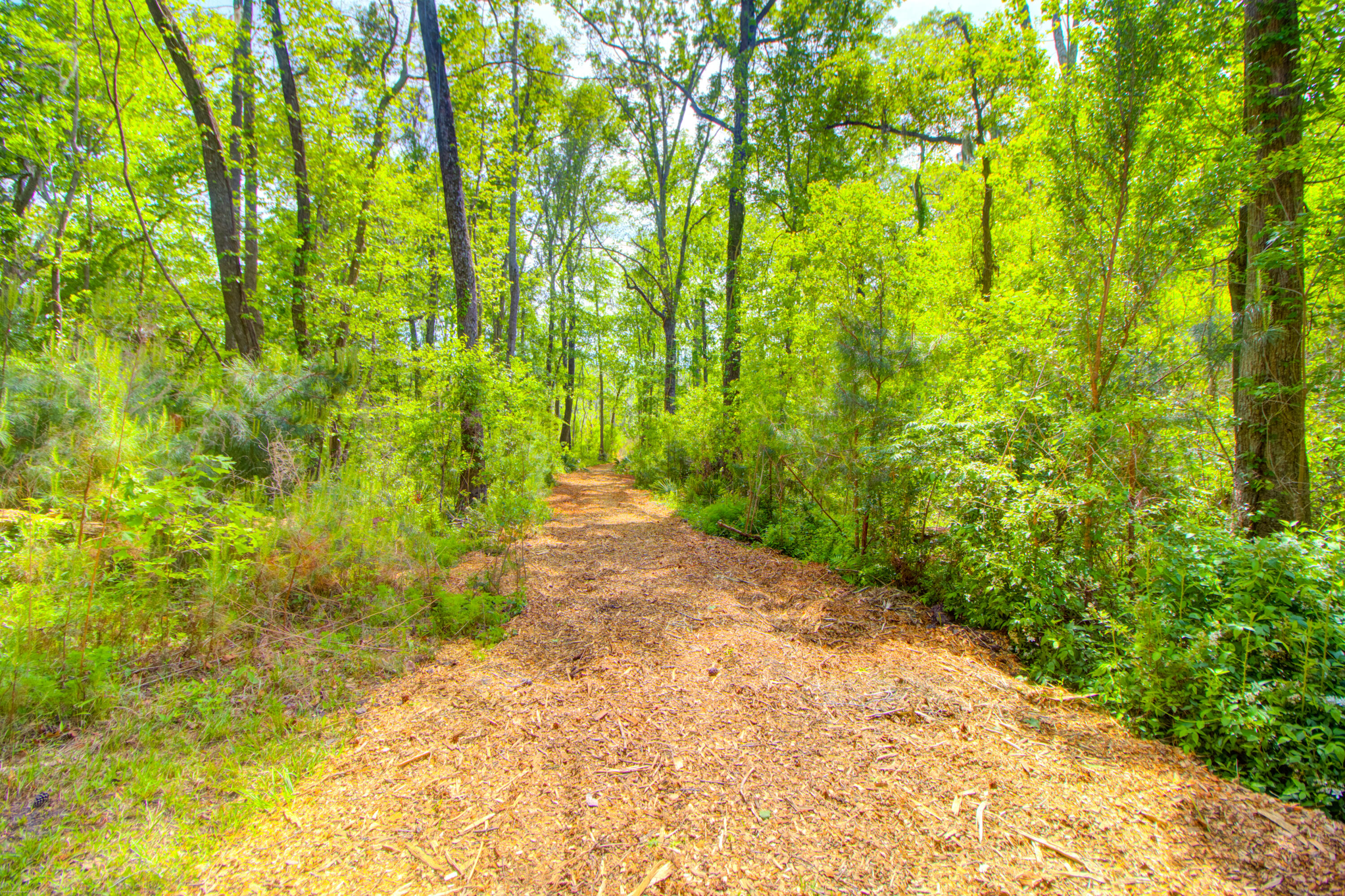3195 Old Pond Road