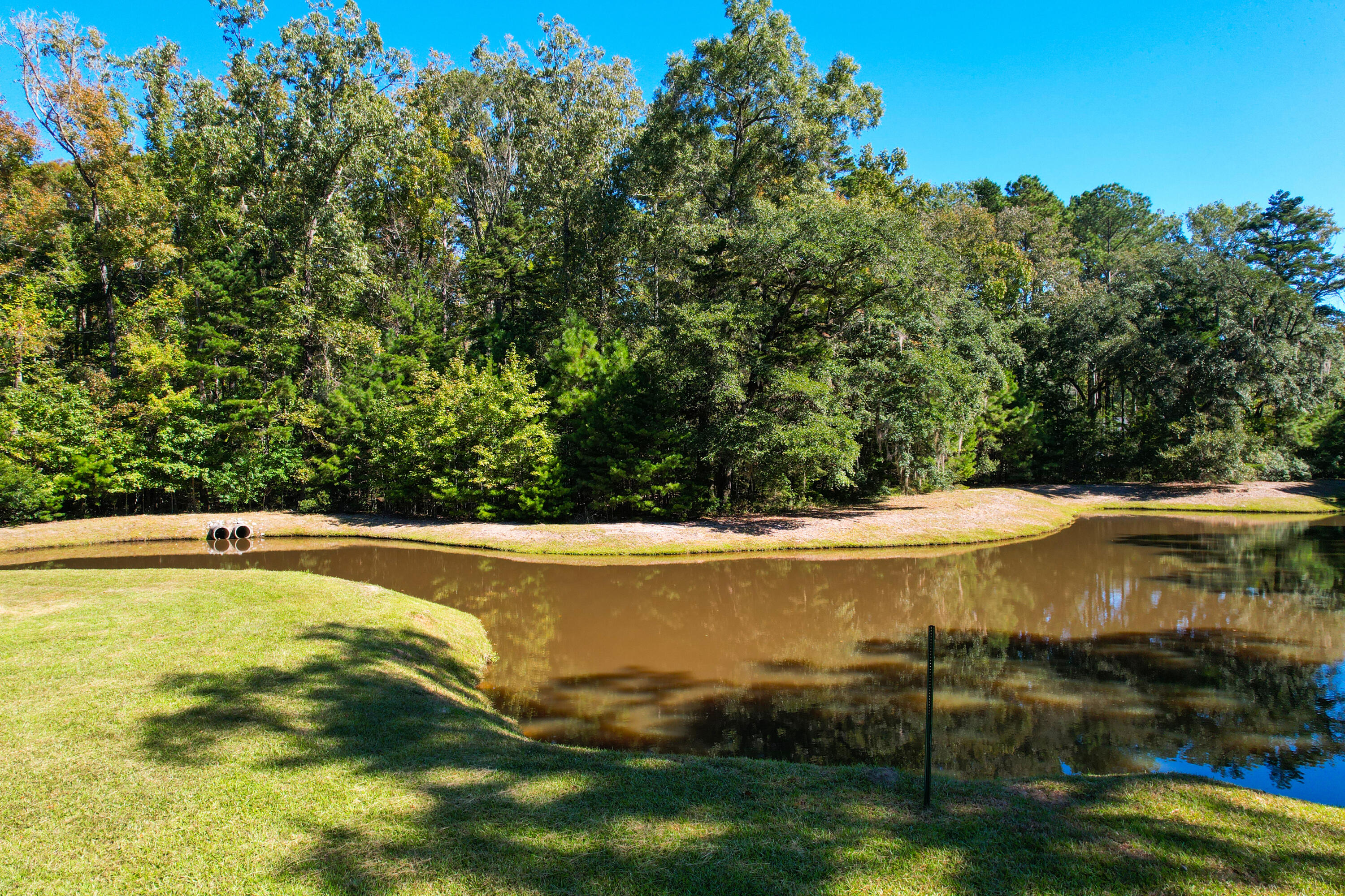 6445 Pepper Grass Trail