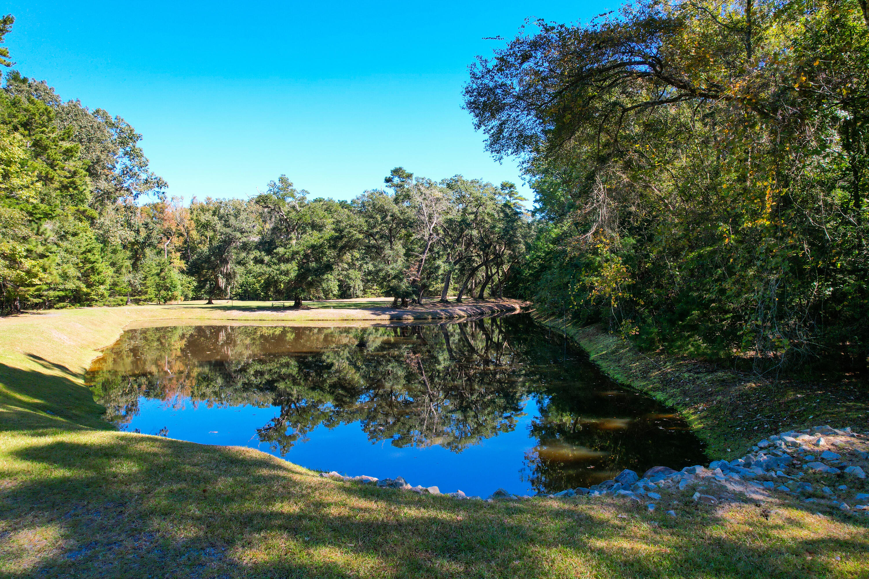 6445 Pepper Grass Trail