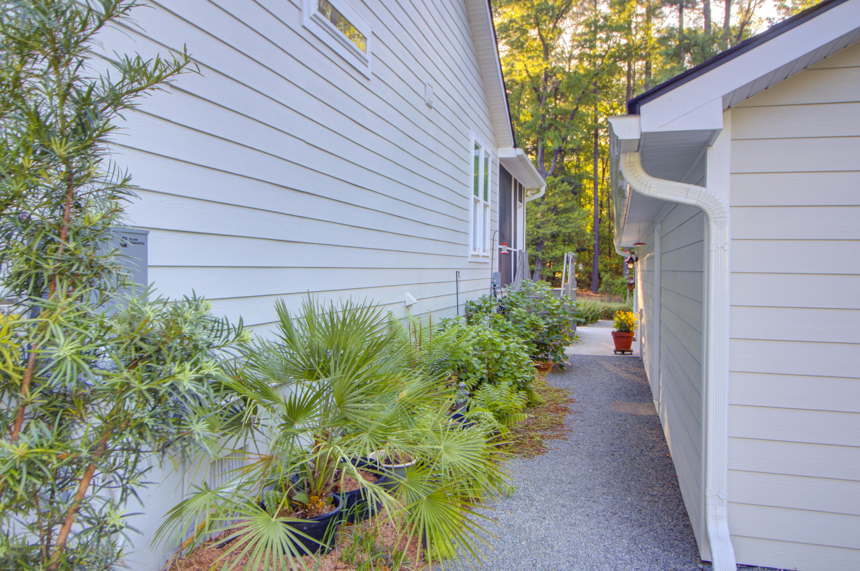 6445 Pepper Grass Trail