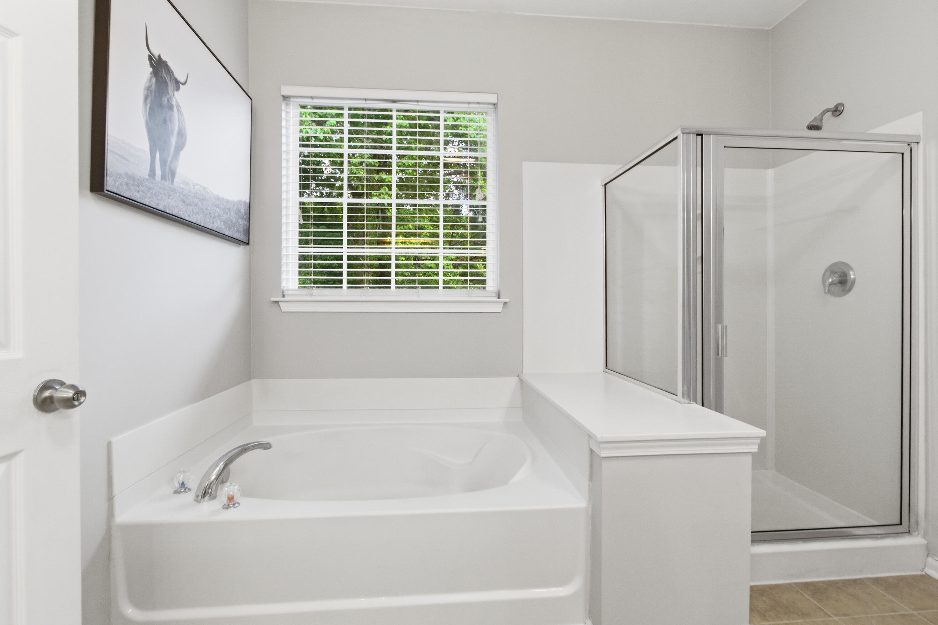 1623 Cristalino Circle